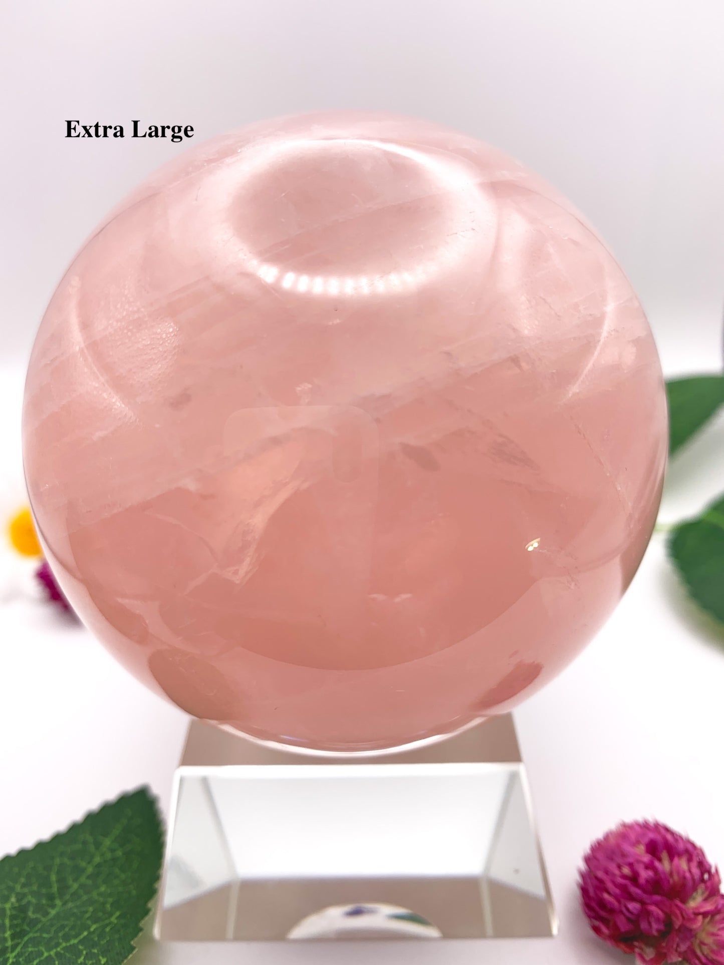 Rose Quartz Sphere with Star - Crystal Love Treasures