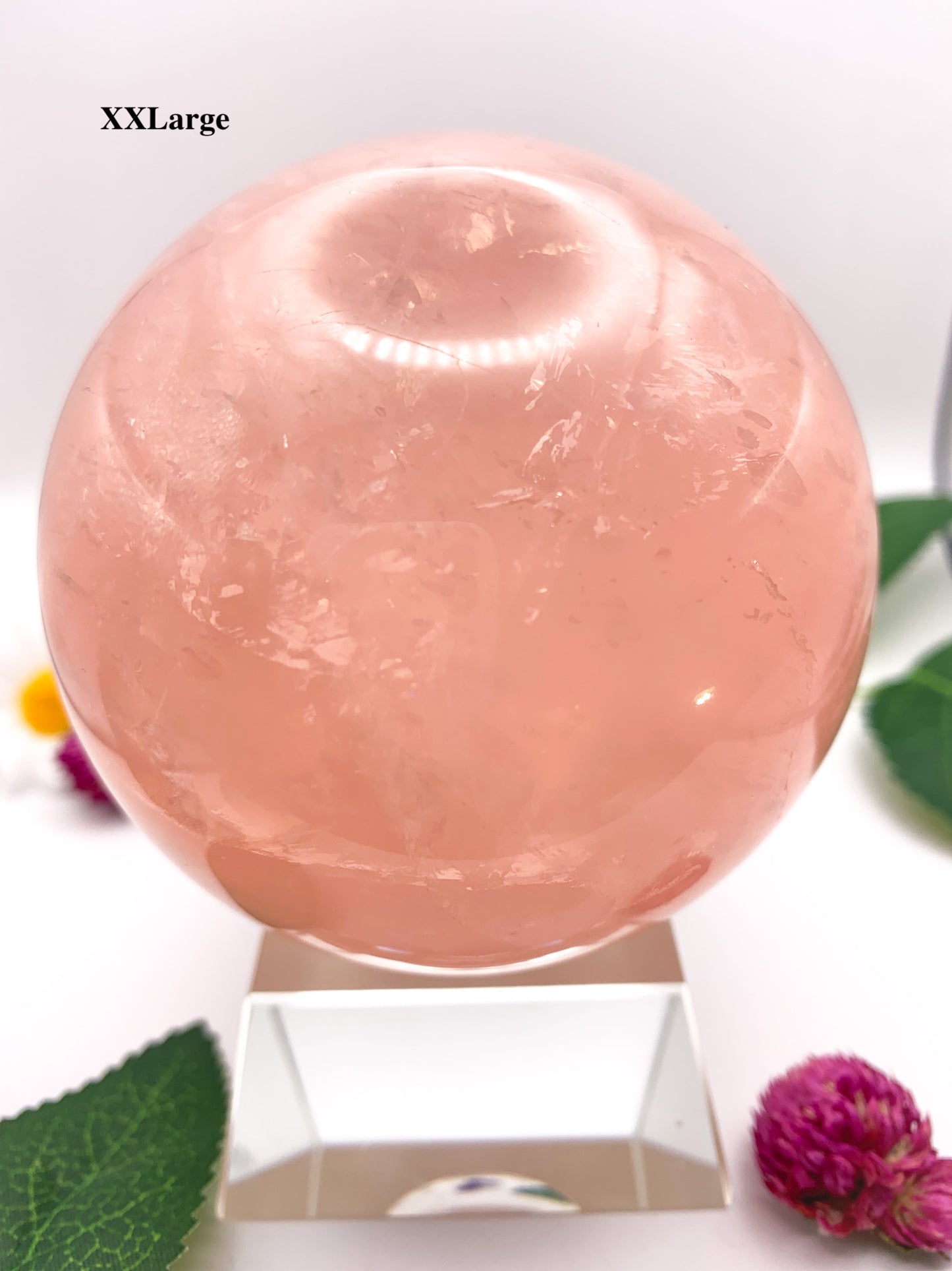 Rose Quartz Sphere with Star - Crystal Love Treasures