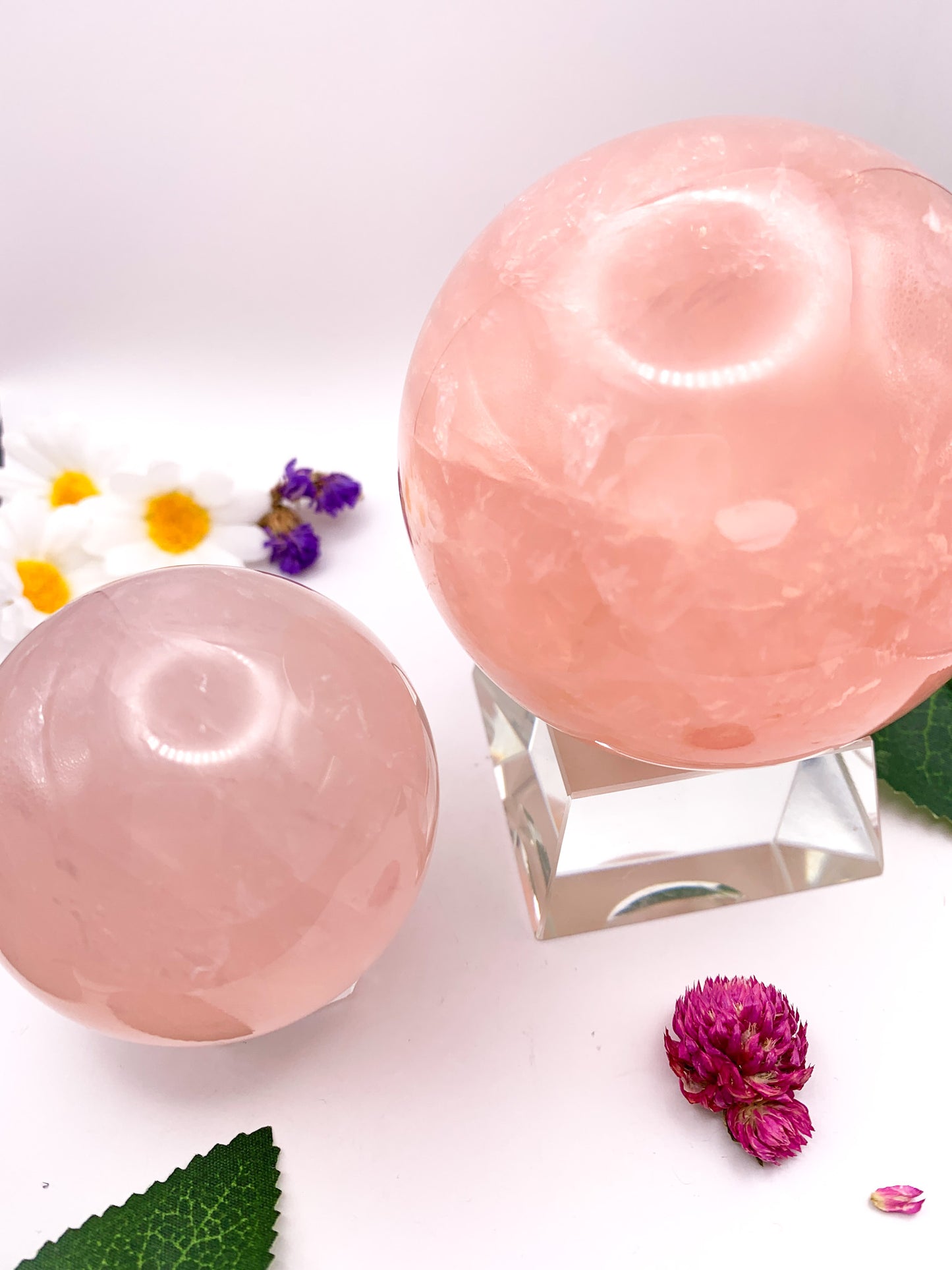 Rose Quartz Sphere with Star - Crystal Love Treasures