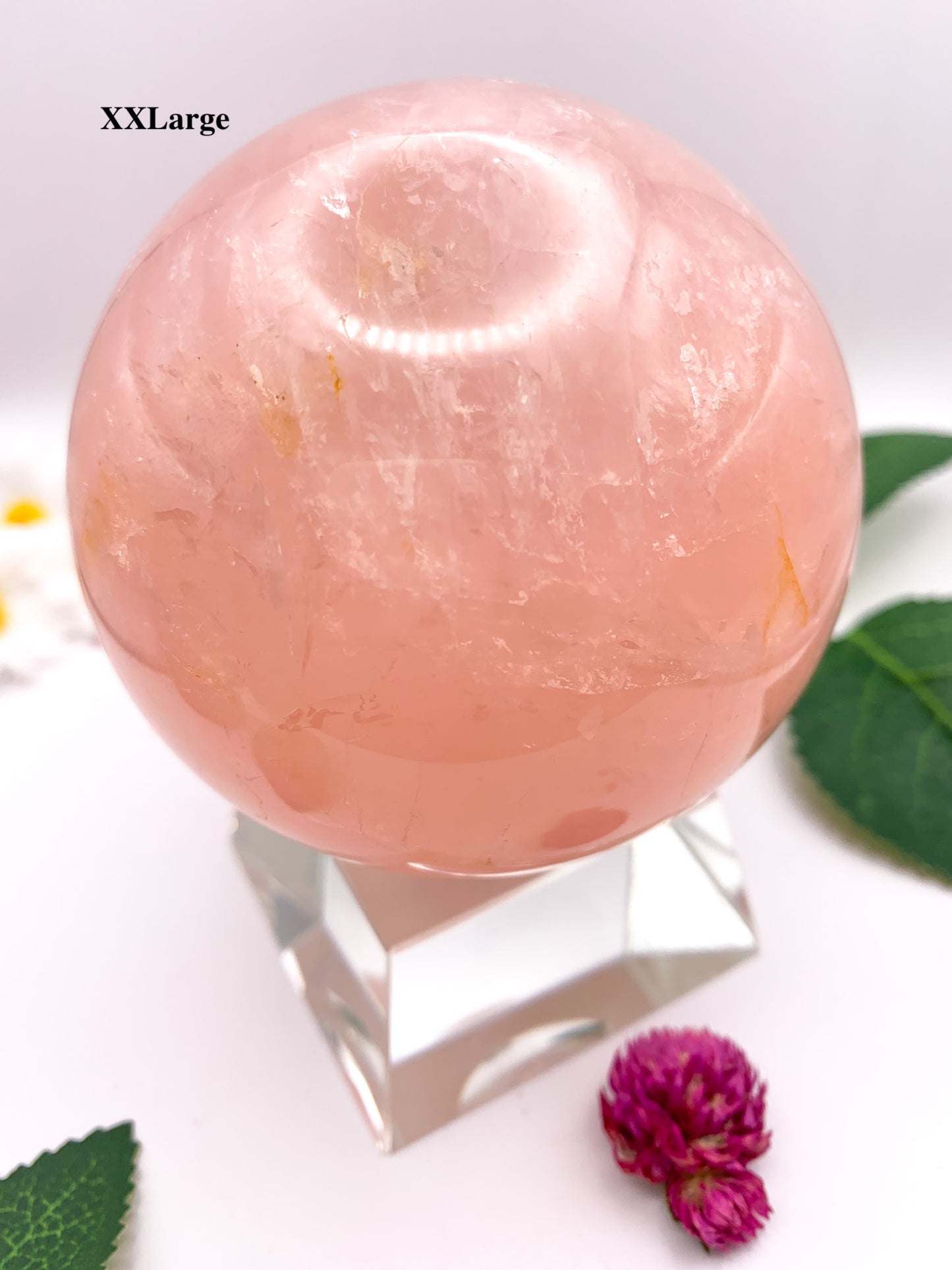 Rose Quartz Sphere with Star - Crystal Love Treasures