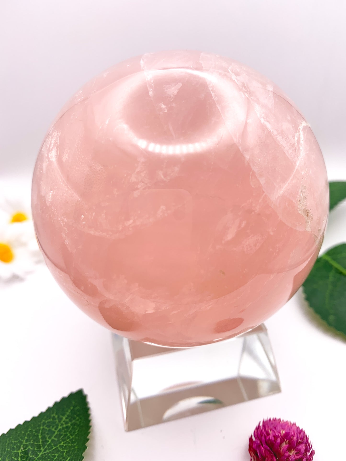 Rose Quartz Sphere with Star - Crystal Love Treasures