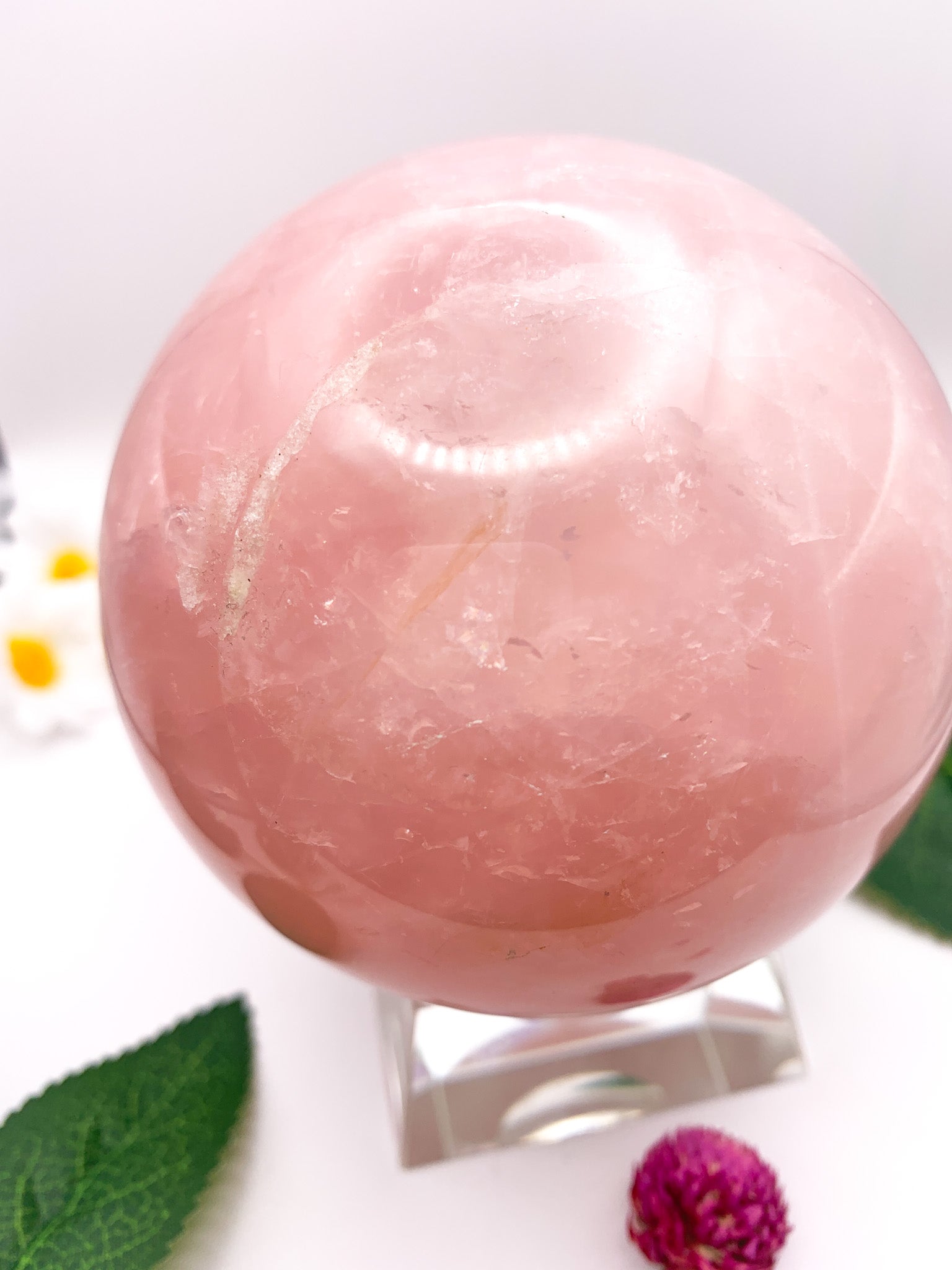 Rose Quartz Sphere with Star - Crystal Love Treasures