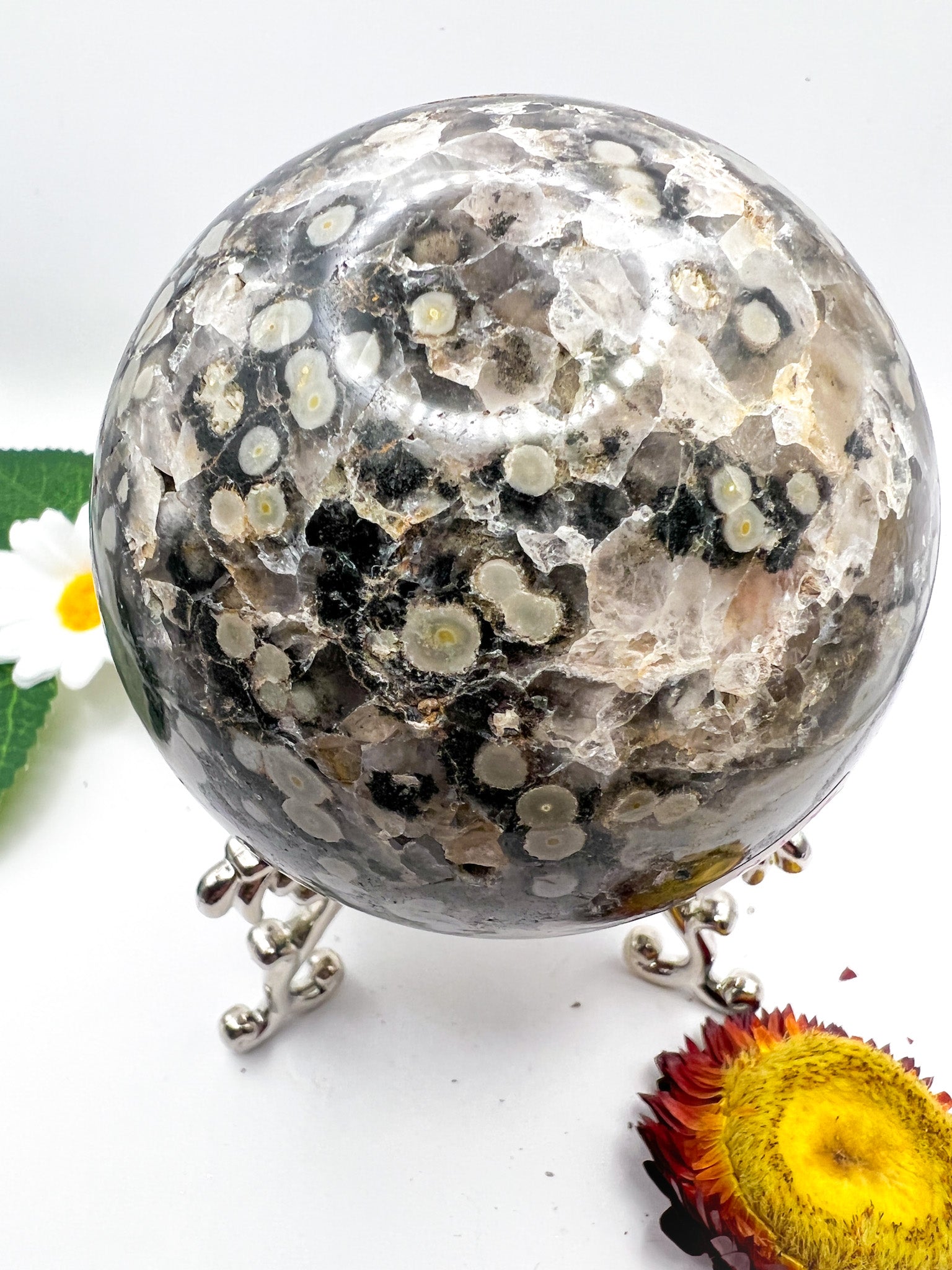 Ocean Jasper Sphere - Crystal Love Treasures