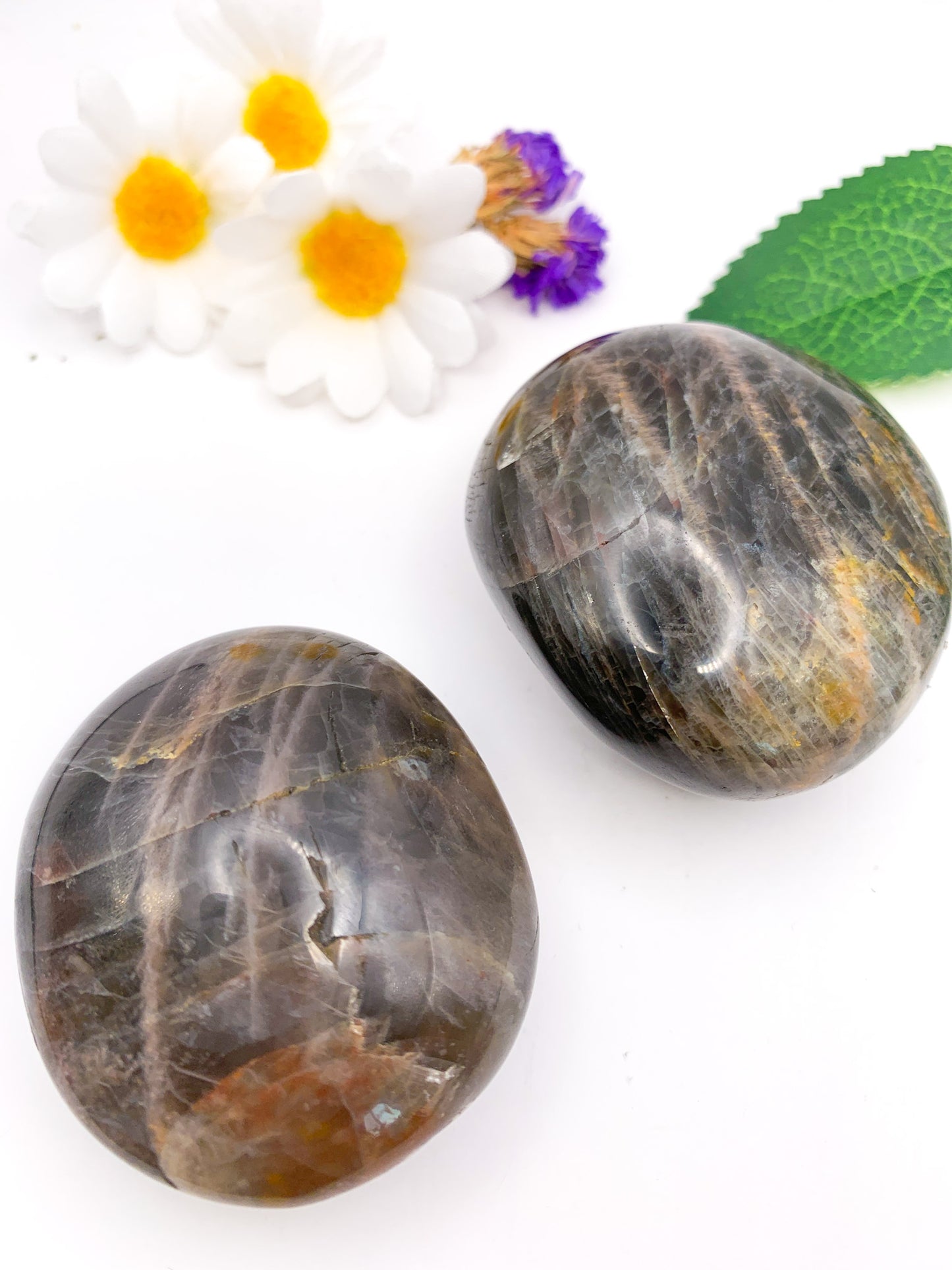 Black Moonstone Palm Stone - Crystal Love Treasures