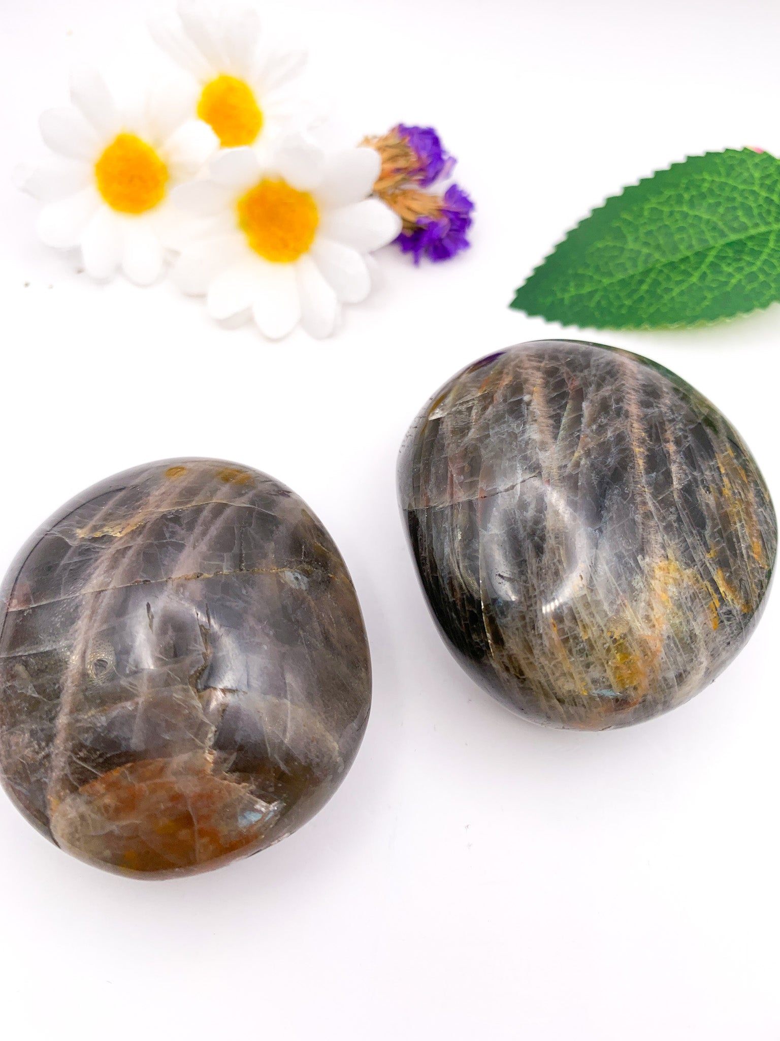 Black Moonstone Palm Stone - Crystal Love Treasures