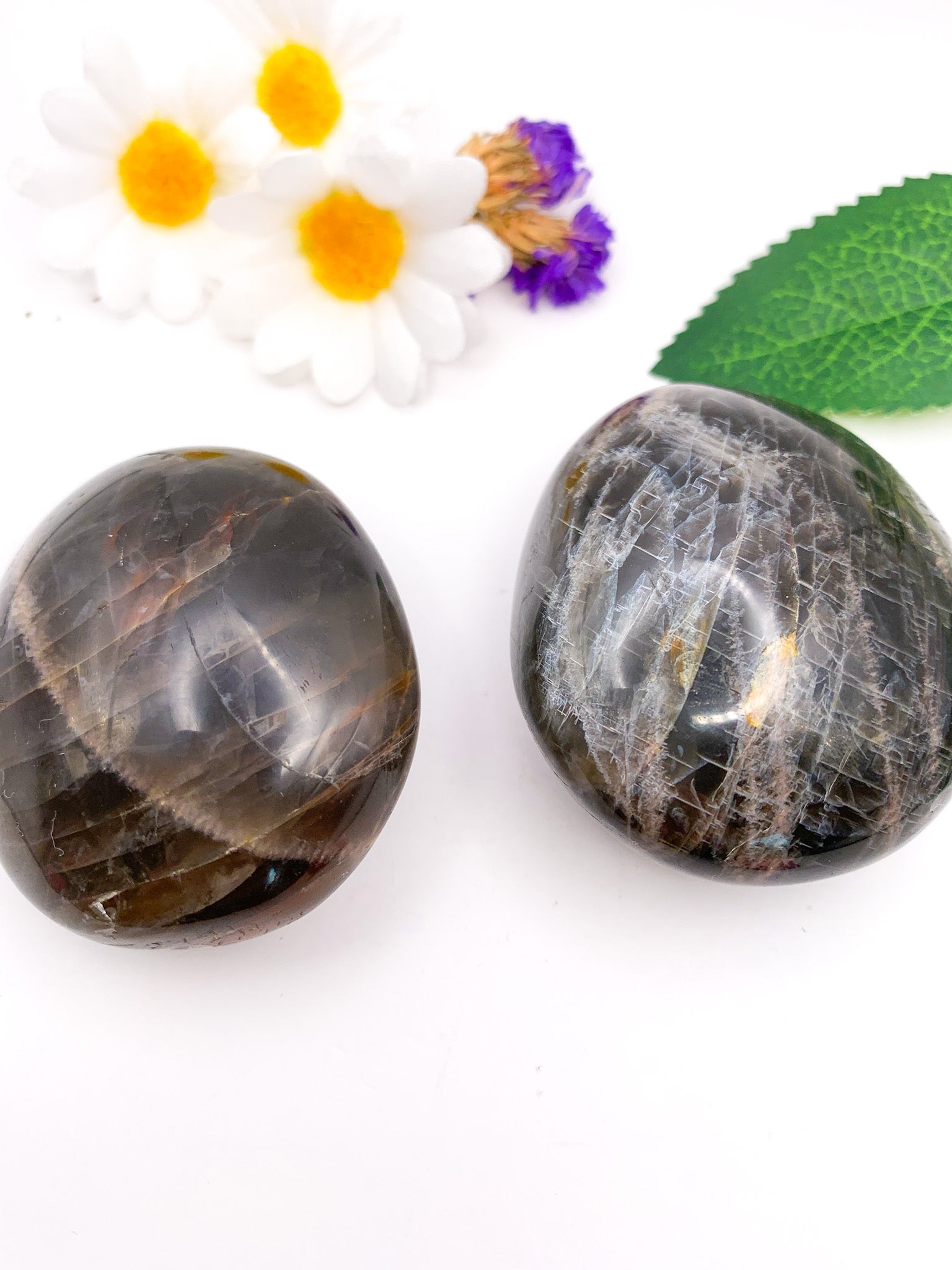 Black Moonstone Palm Stone - Crystal Love Treasures