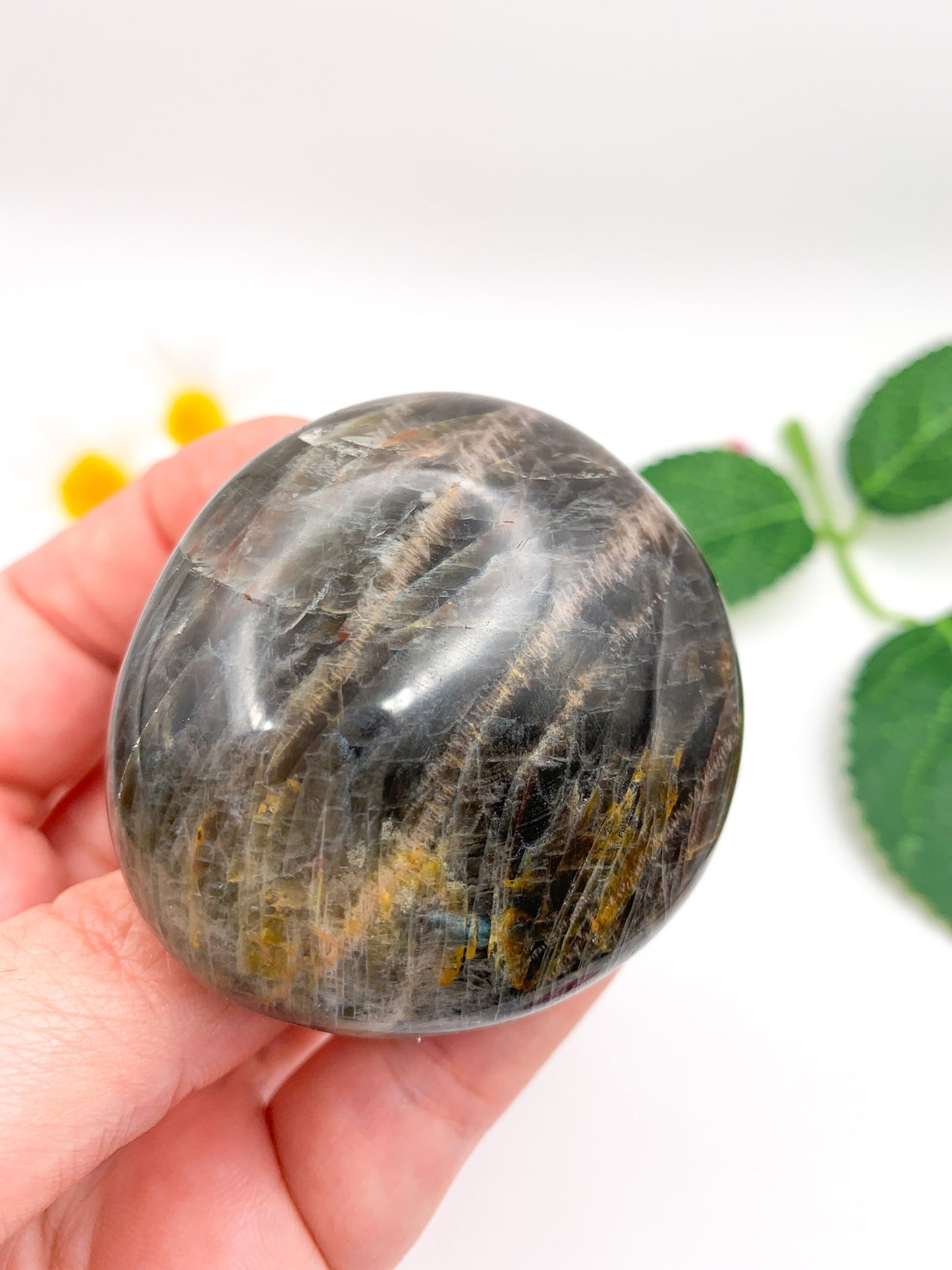 Black Moonstone Palm Stone - Crystal Love Treasures