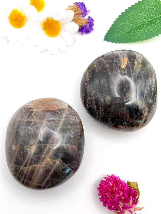 Black Moonstone Palm Stone - Crystal Love Treasures