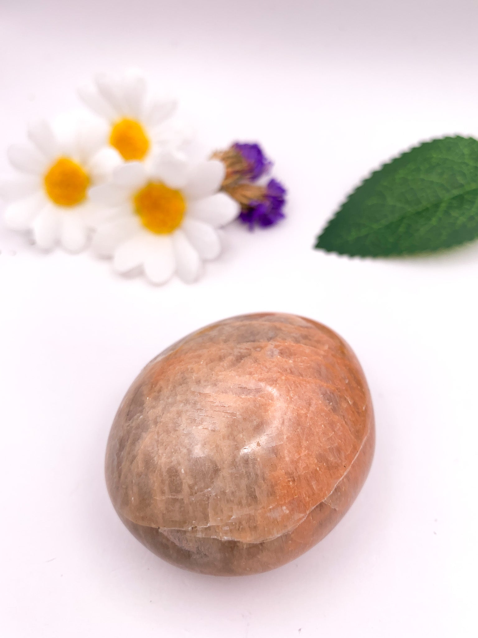 Peach Moonstone Palm Stone - Crystal Love Treasures