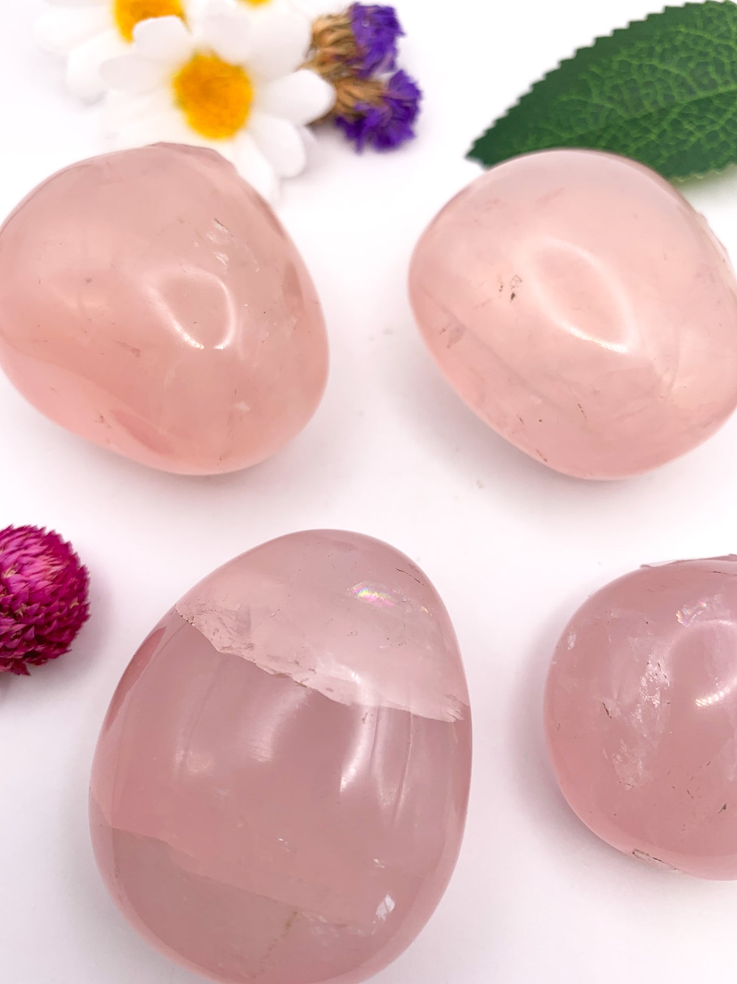 Rose Quartz Palm Stone w/ star asterism - Crystal Love Treasures