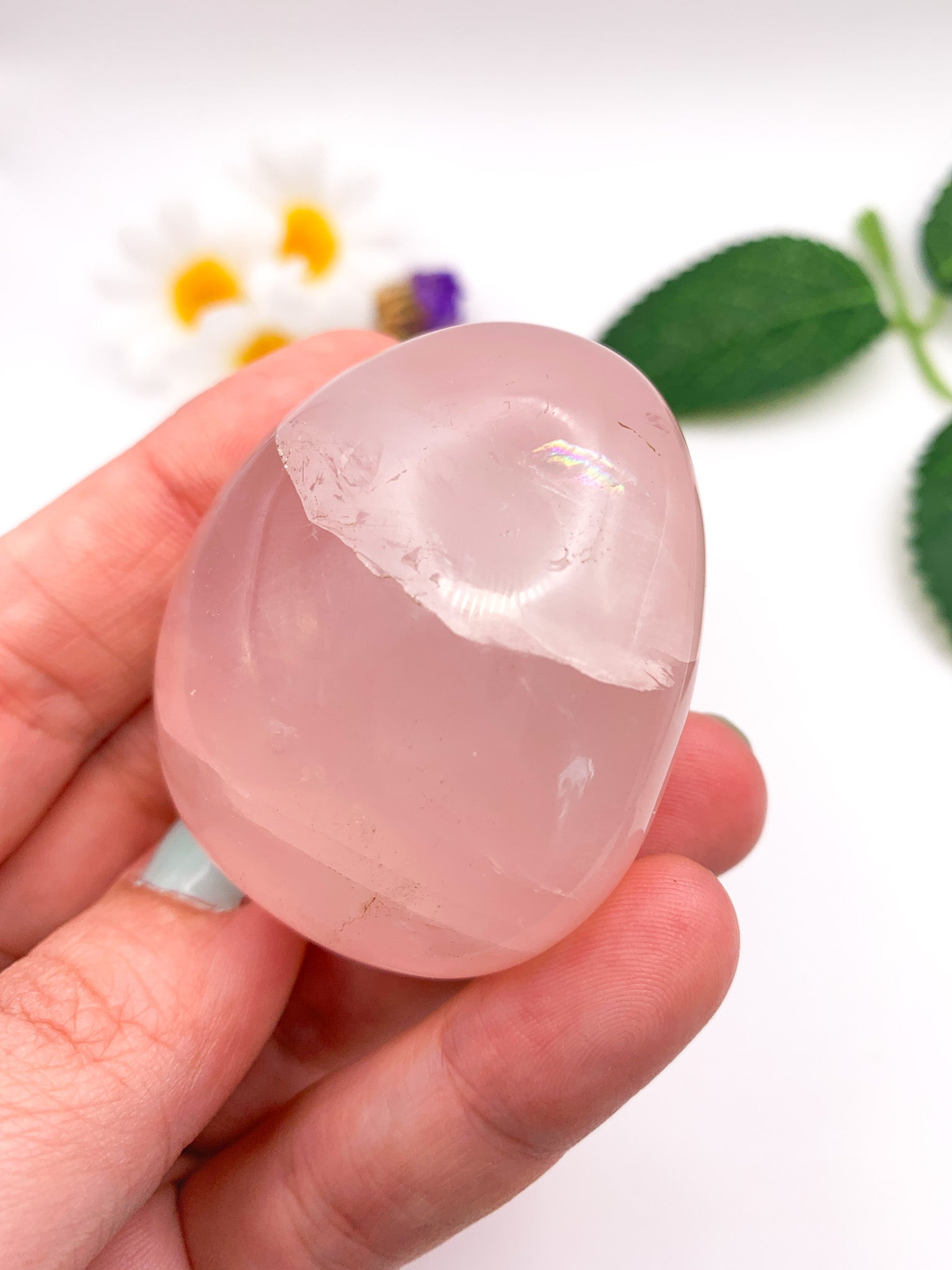 Rose Quartz Palm Stone w/ star asterism - Crystal Love Treasures