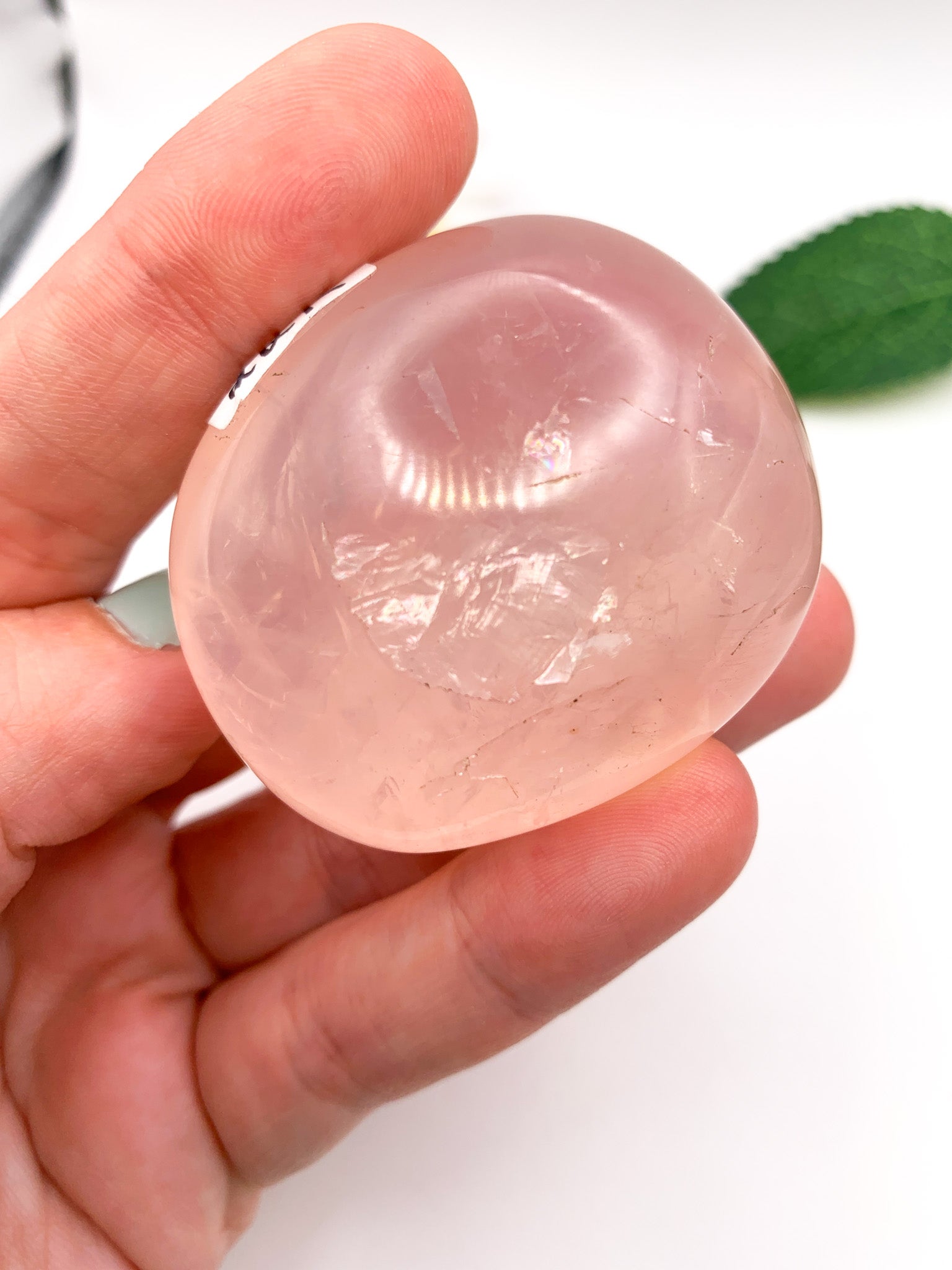 Rose Quartz Palm Stone w/ star asterism - Crystal Love Treasures