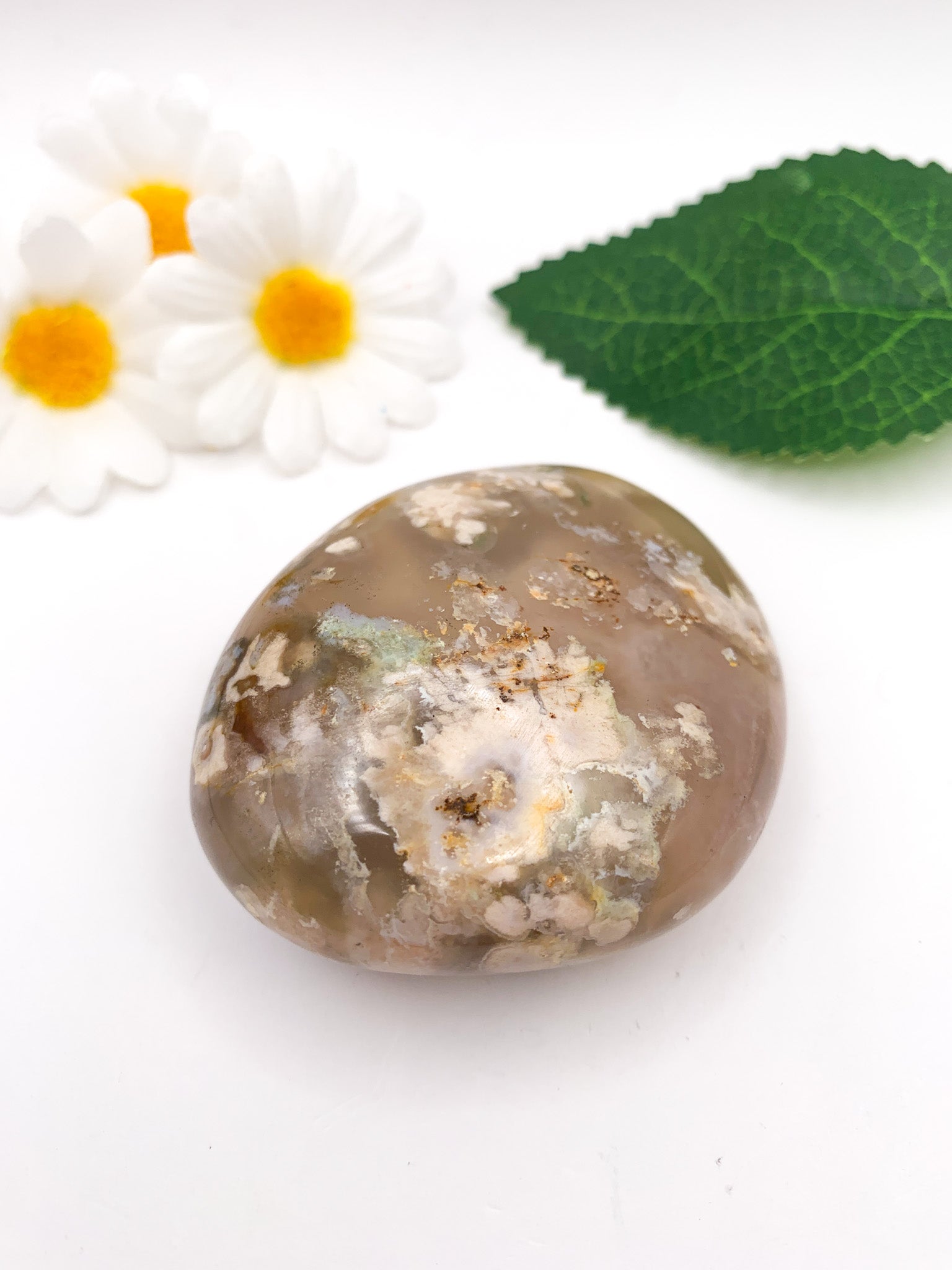 Flower Agate Palm Stone - Crystal Love Treasures