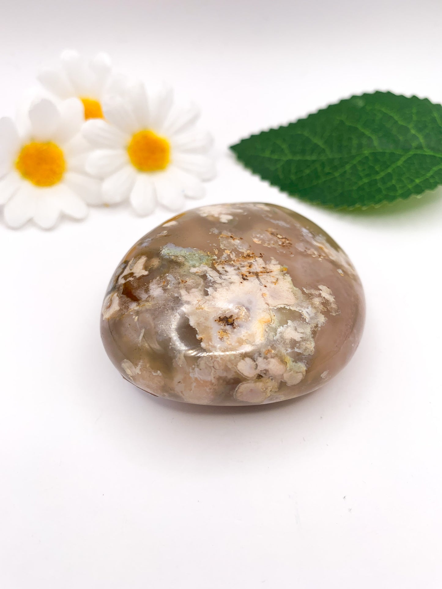 Flower Agate Palm Stone - Crystal Love Treasures