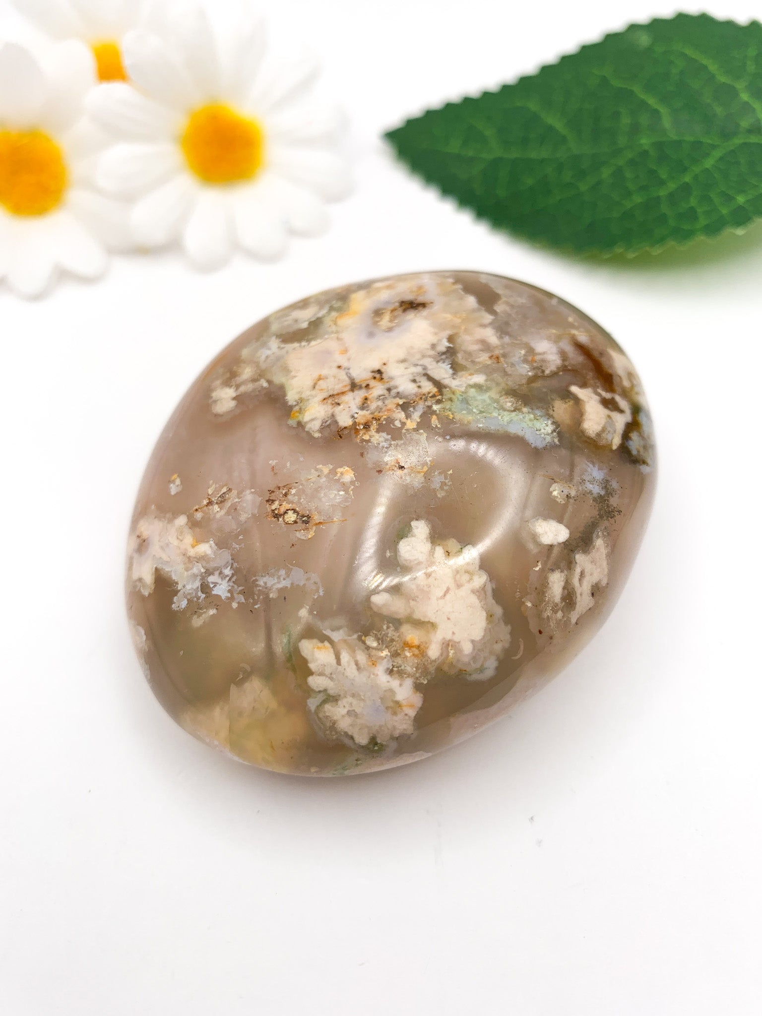 Flower Agate Palm Stone - Crystal Love Treasures