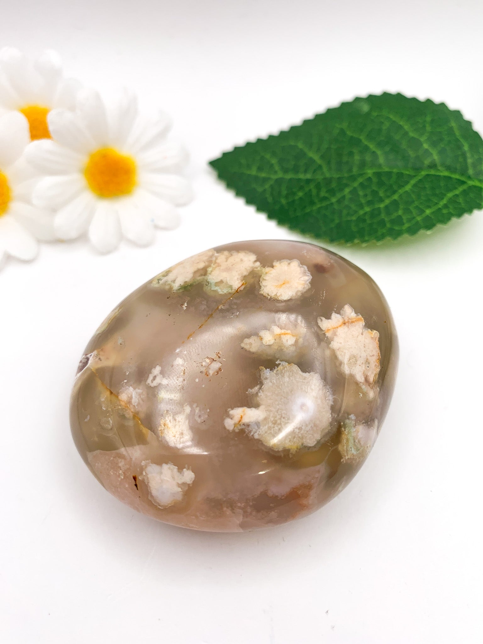 Flower Agate Palm Stone - Crystal Love Treasures