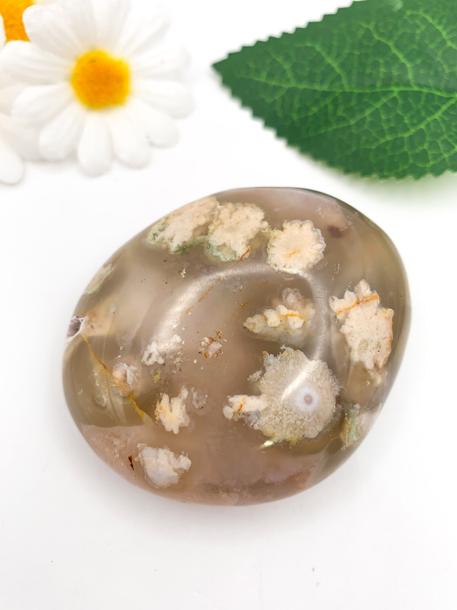 Flower Agate Palm Stone - Crystal Love Treasures