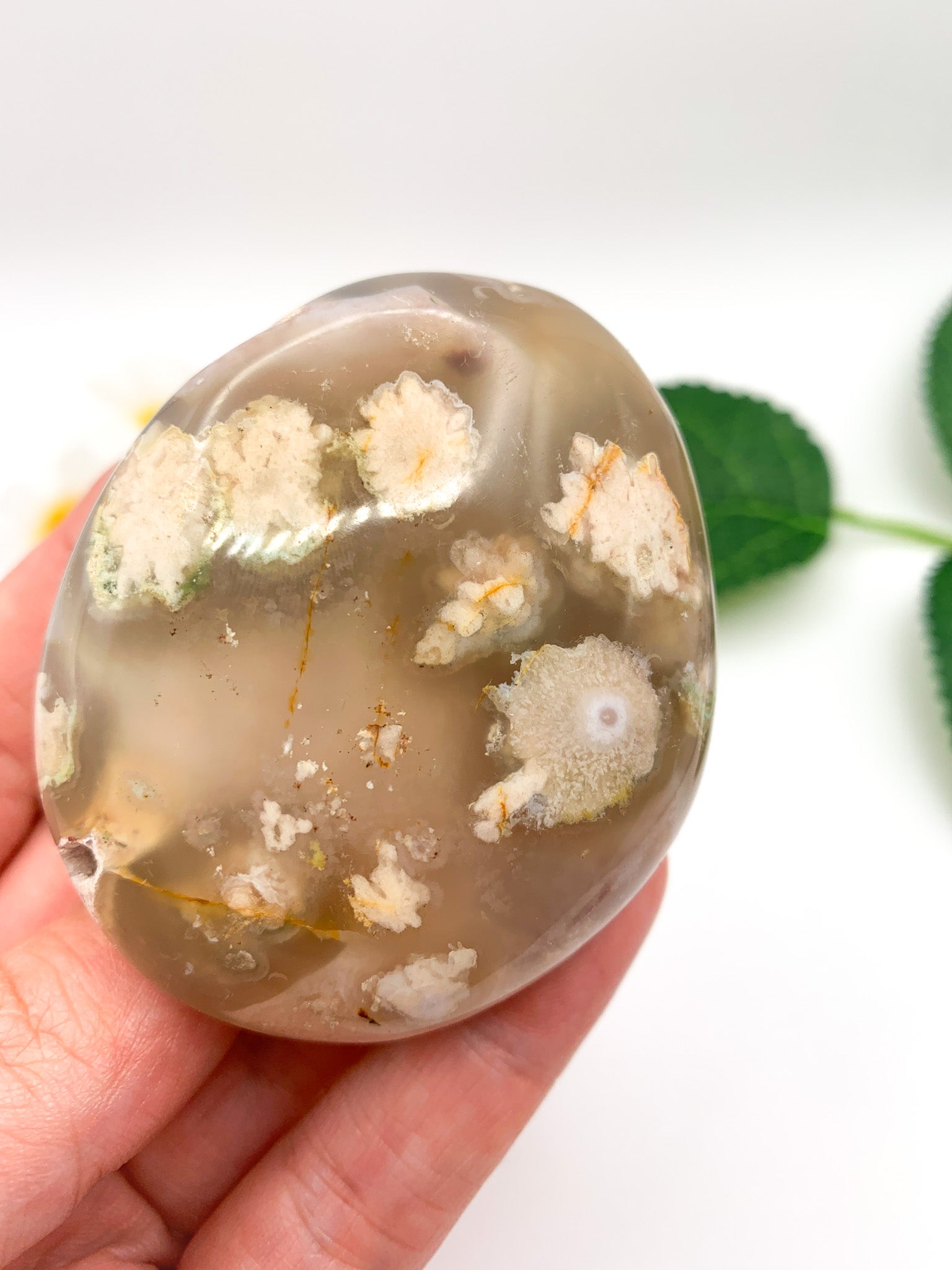 Flower Agate Palm Stone - Crystal Love Treasures