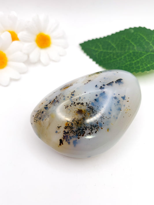 Dendritic Agate Palm Stone - Crystal Love Treasures