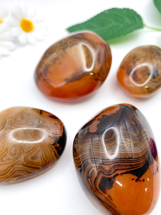 Sardonyx Palm Stone - Crystal Love Treasures