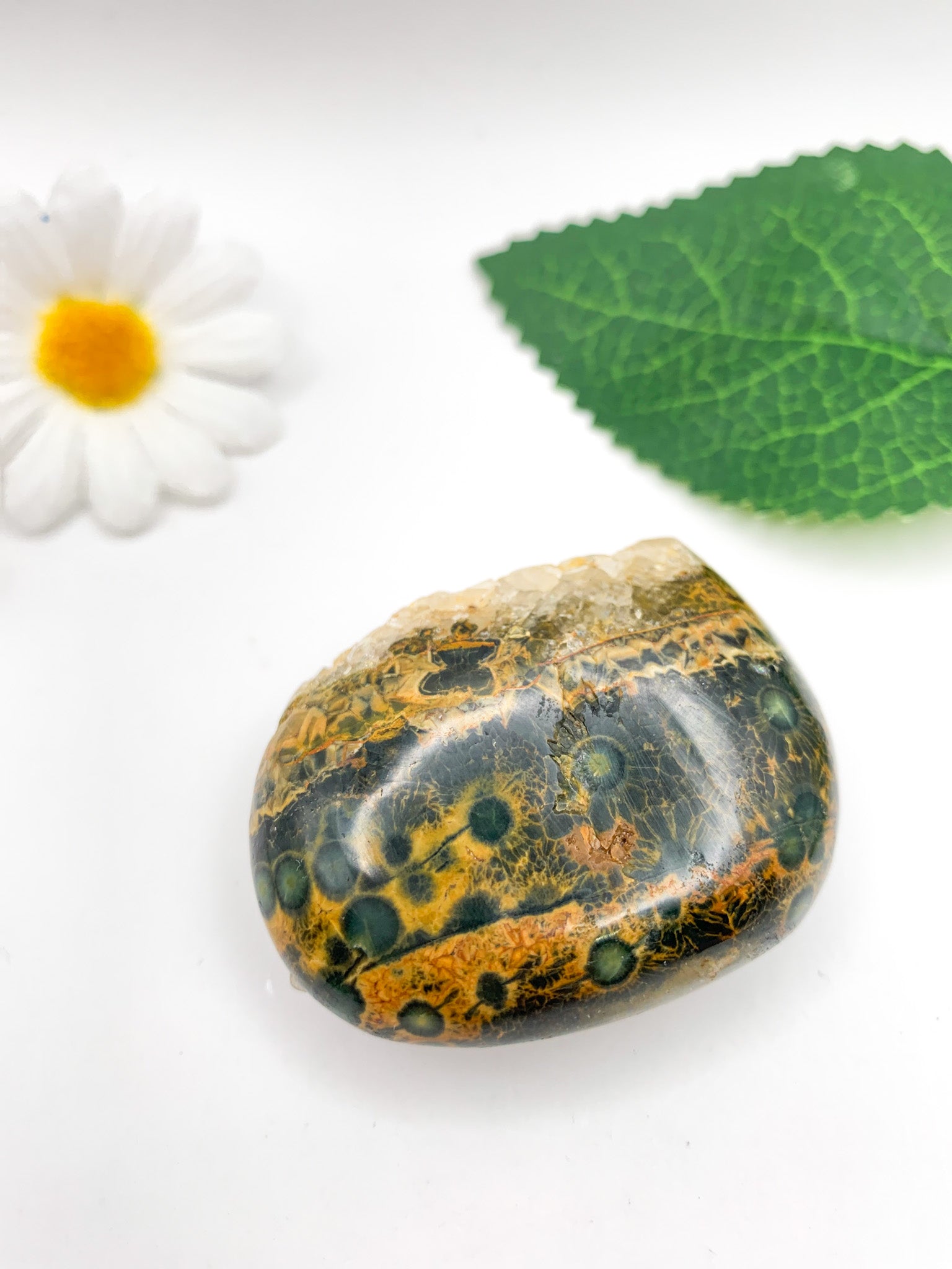 Ocean Jasper Palm Stone - Crystal Love Treasures