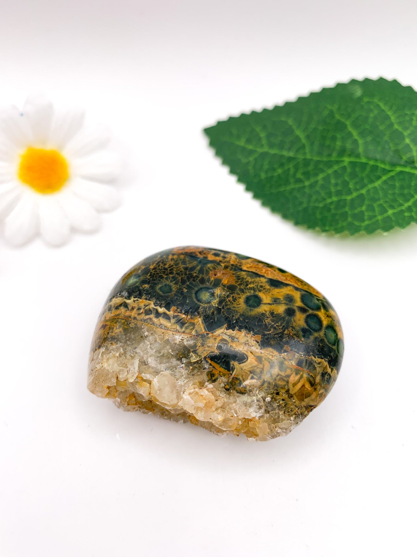 Ocean Jasper Palm Stone - Crystal Love Treasures