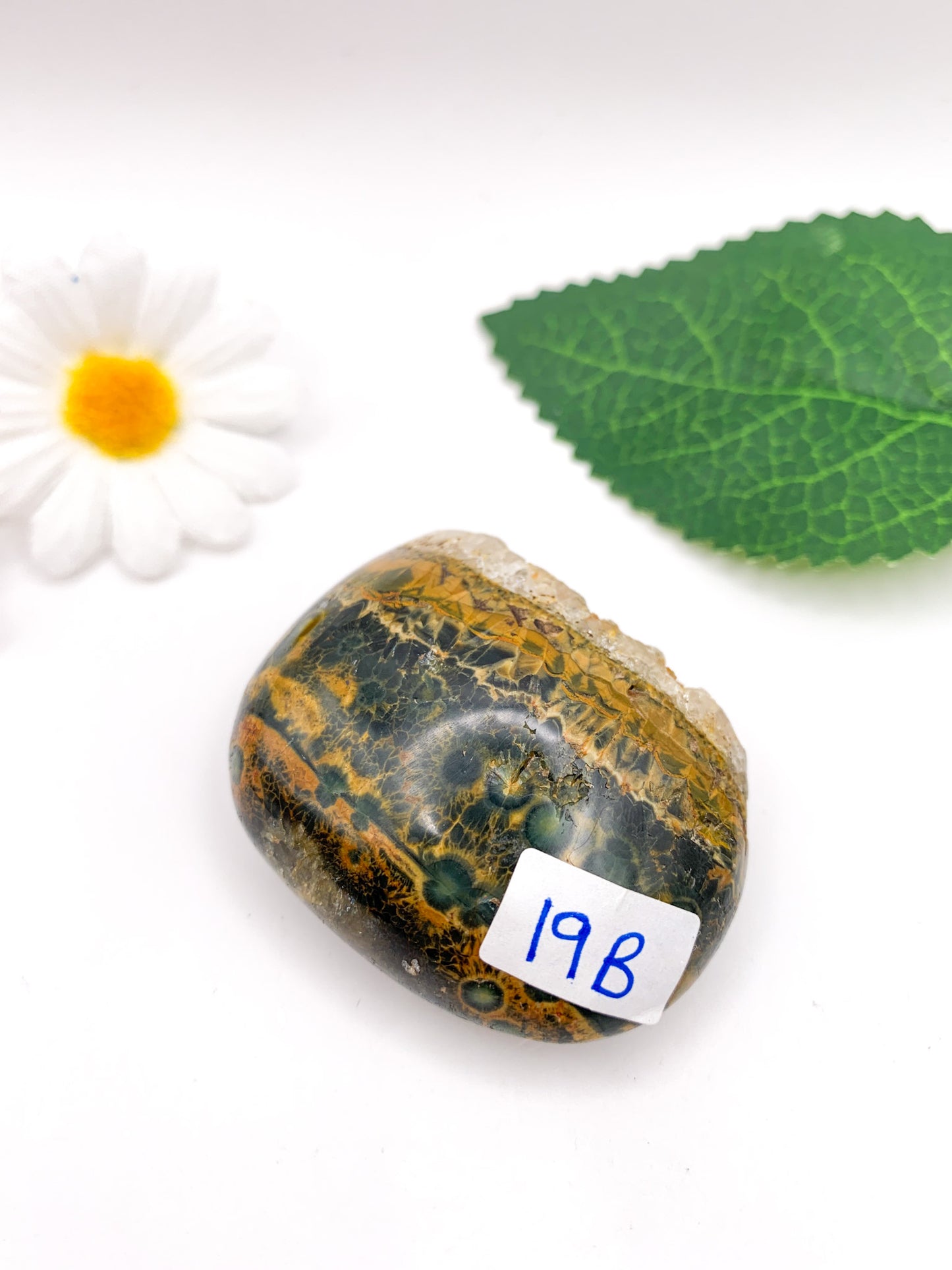 Ocean Jasper Palm Stone - Crystal Love Treasures