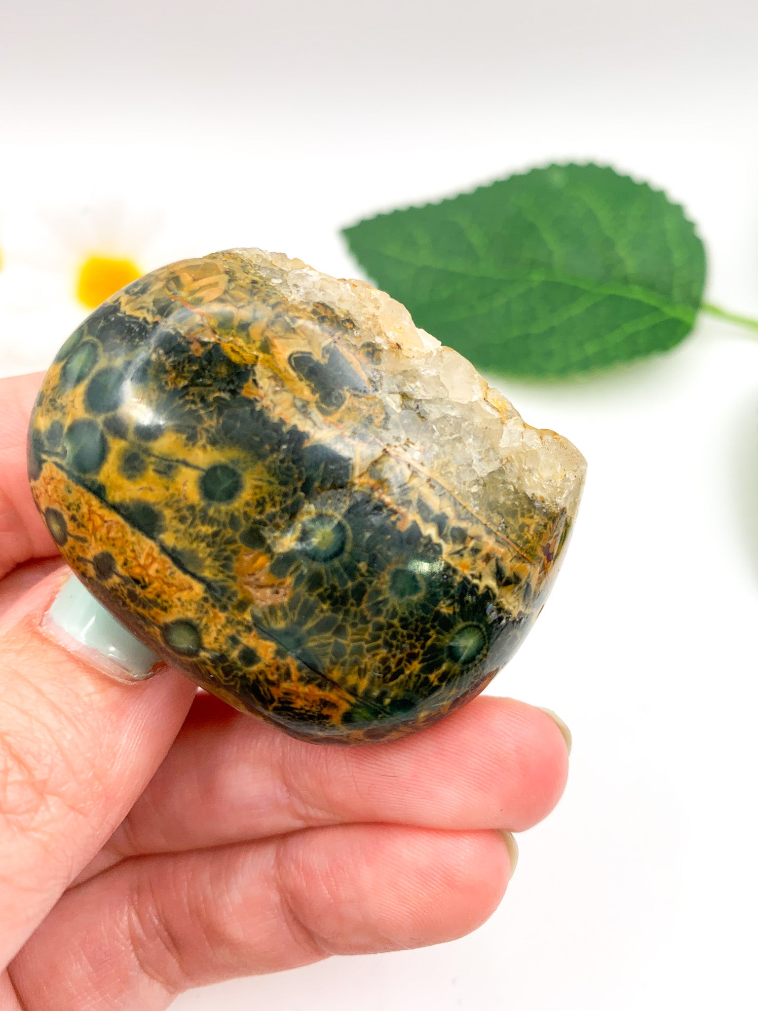 Ocean Jasper Palm Stone - Crystal Love Treasures