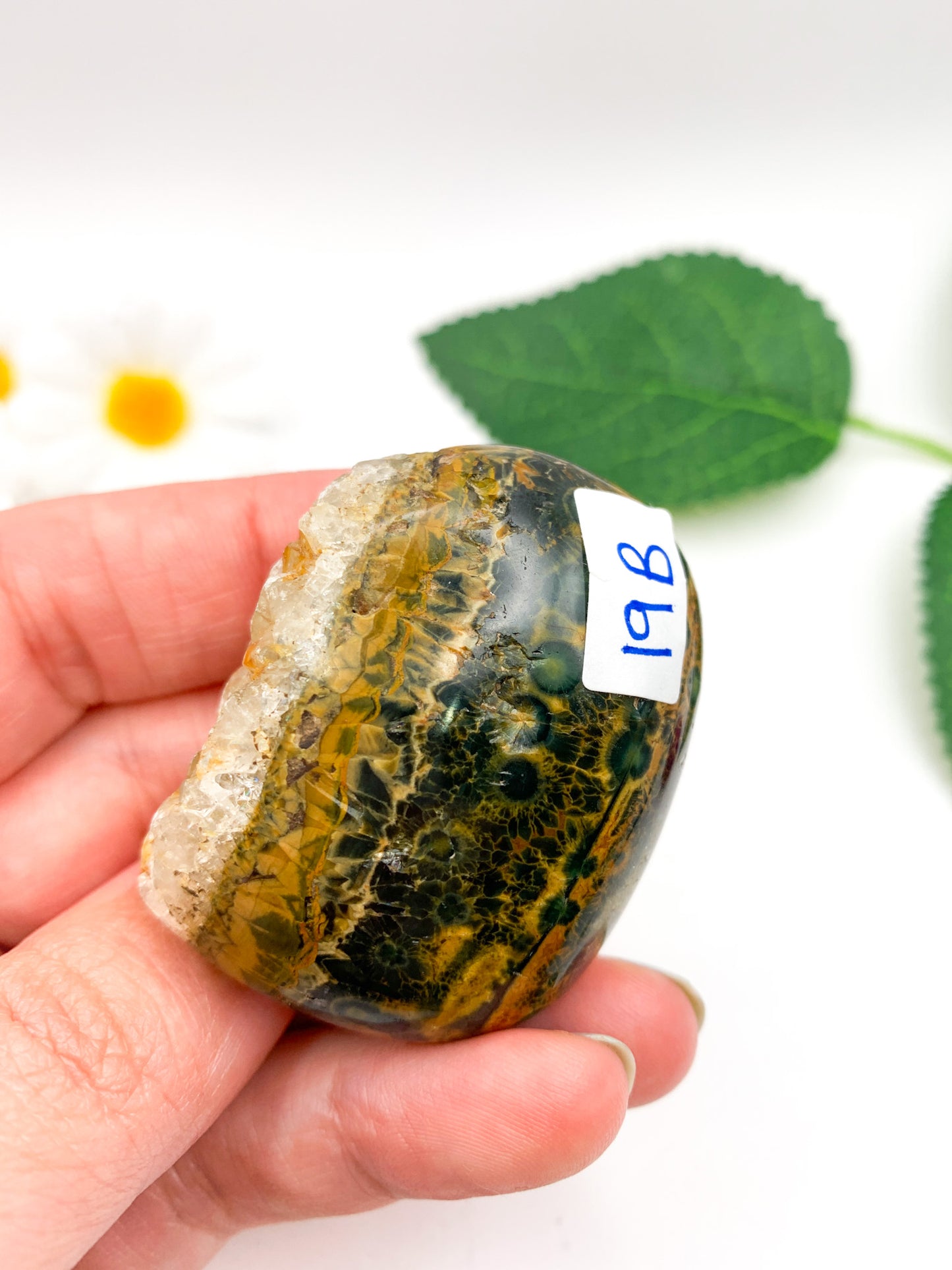 Ocean Jasper Palm Stone - Crystal Love Treasures