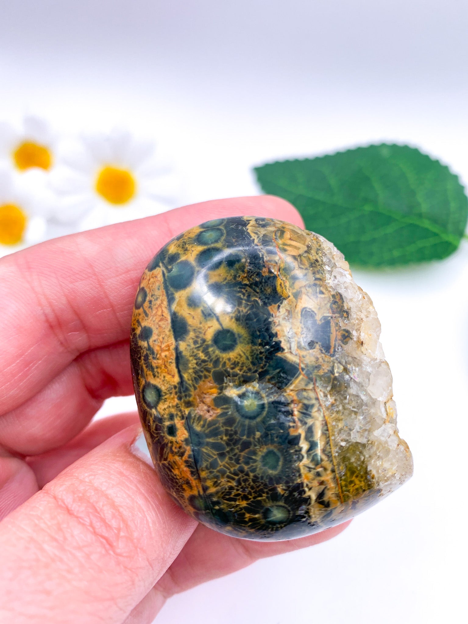 Ocean Jasper Palm Stone - Crystal Love Treasures