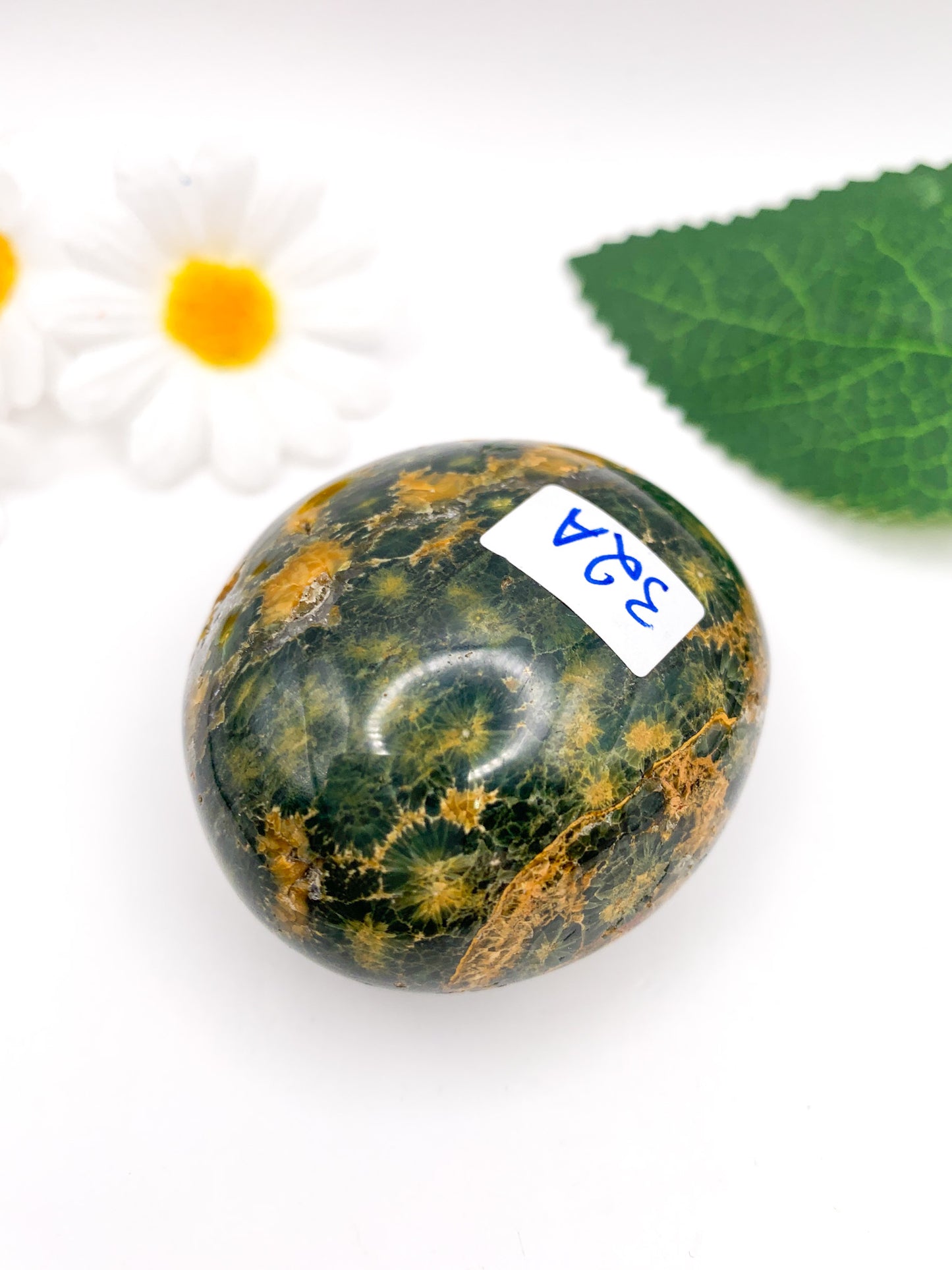 Ocean Jasper Palm Stone - Crystal Love Treasures