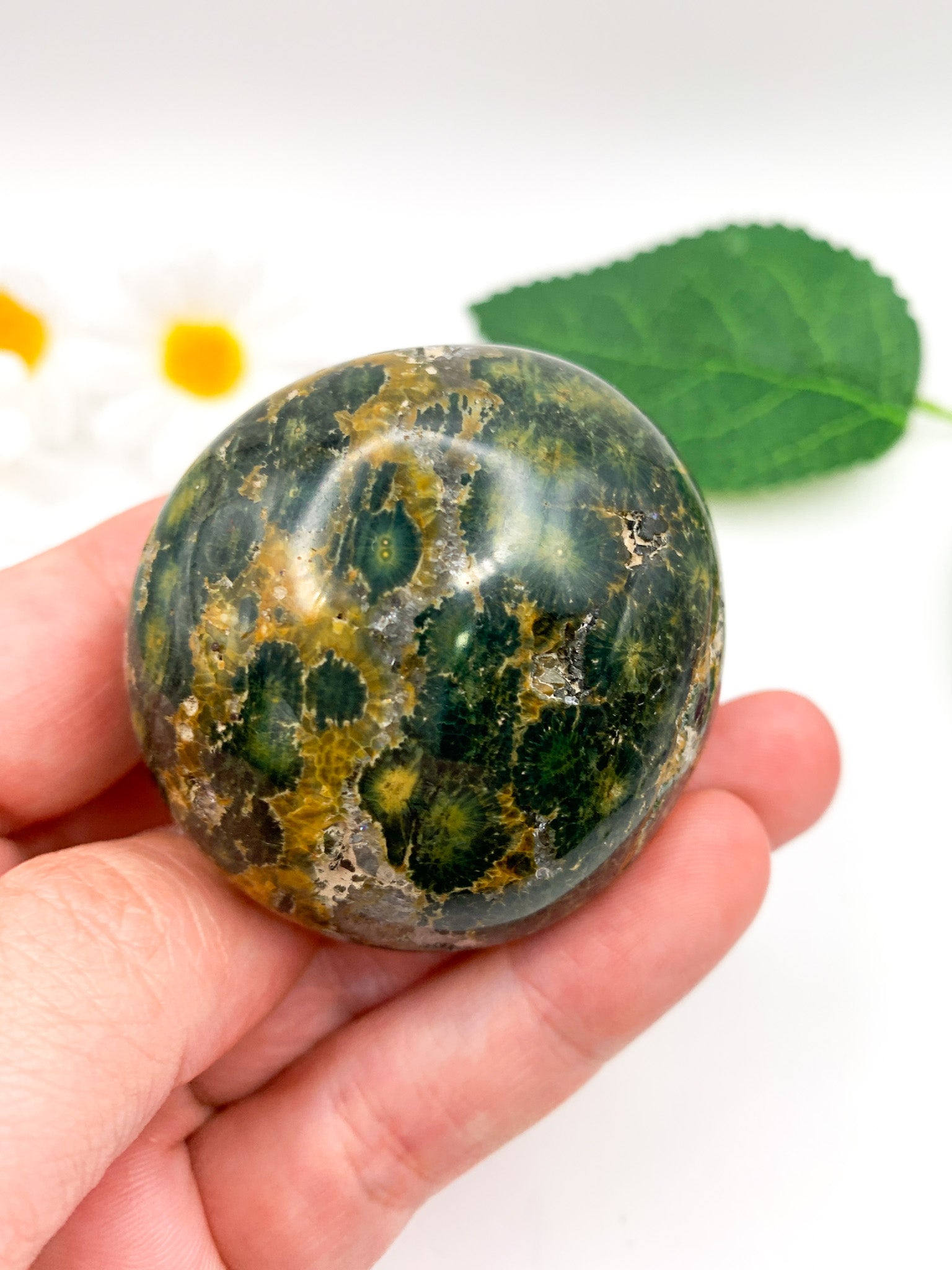 Ocean Jasper Palm Stone - Crystal Love Treasures