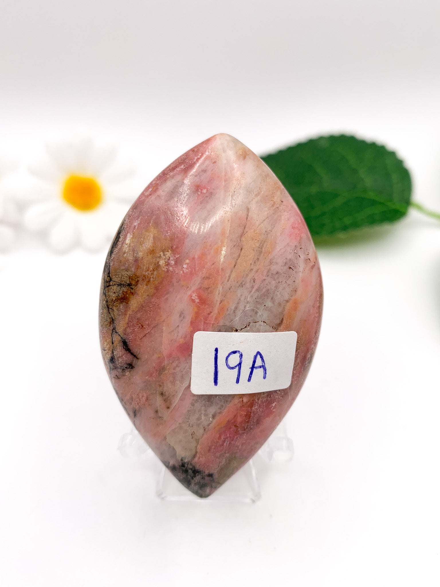 Rhodonite Tear Drop - Crystal Love Treasures