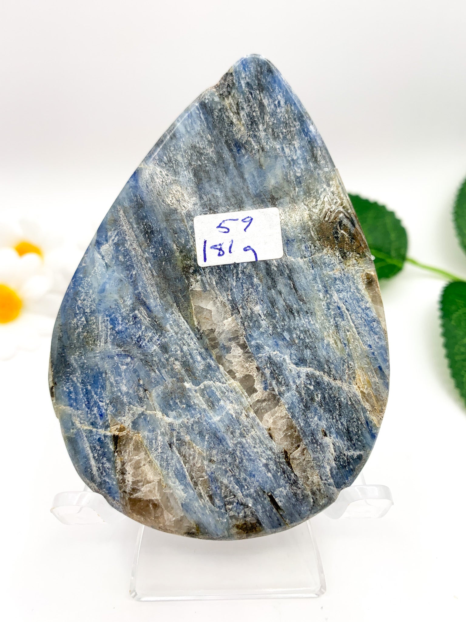 Blue Kyanite Tear Drop - Crystal Love Treasures