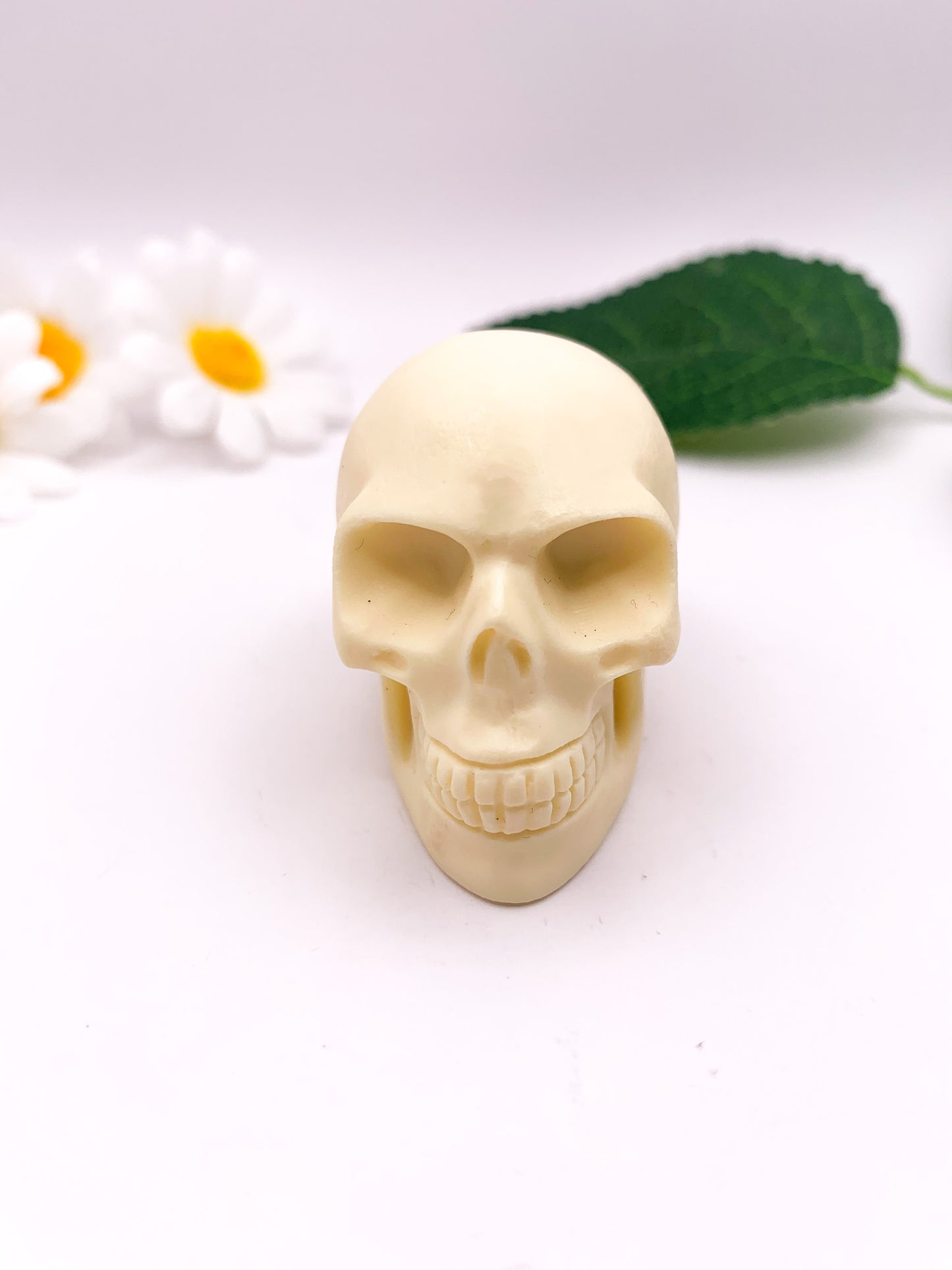 Ivory Nut "Tagua Nut" Skull - Crystal Love Treasures