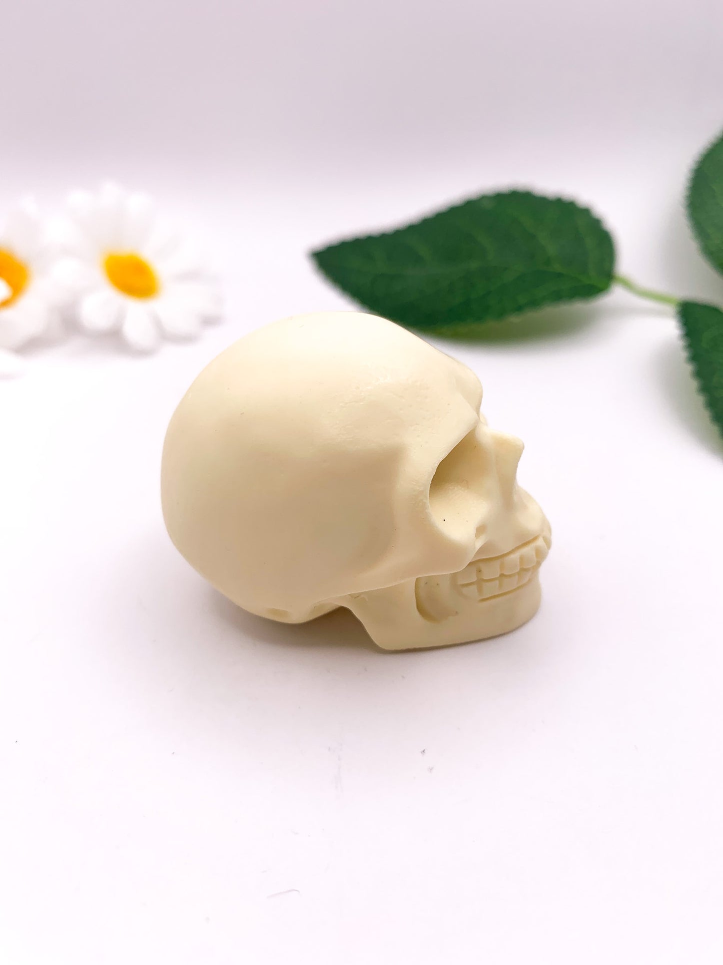 Ivory Nut "Tagua Nut" Skull - Crystal Love Treasures