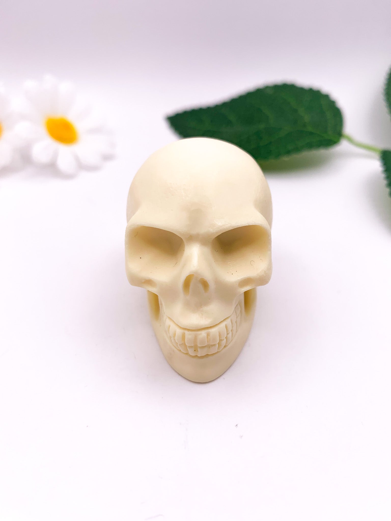 Ivory Nut "Tagua Nut" Skull - Crystal Love Treasures