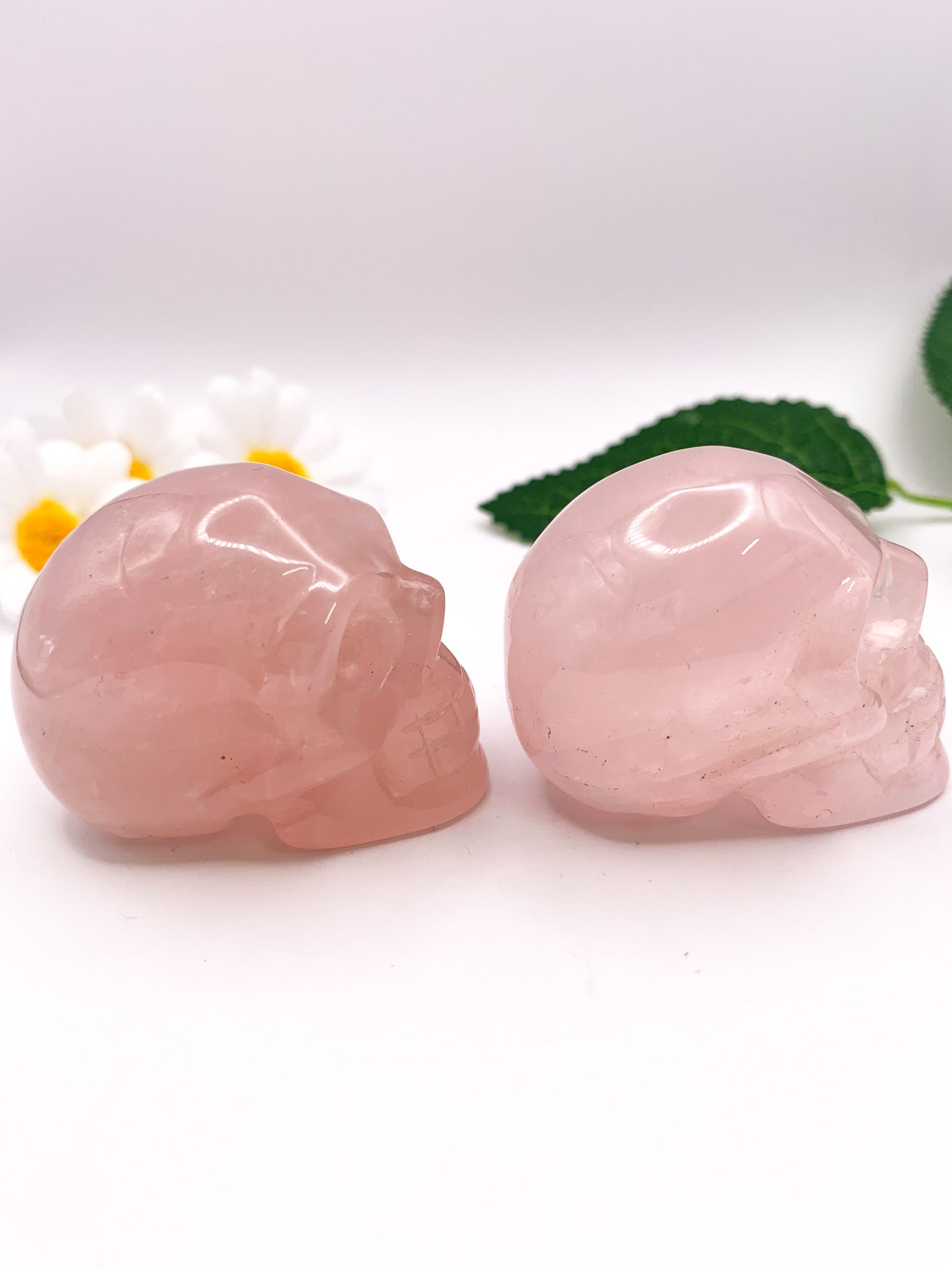 Rose Quartz Skull - Crystal Love Treasures