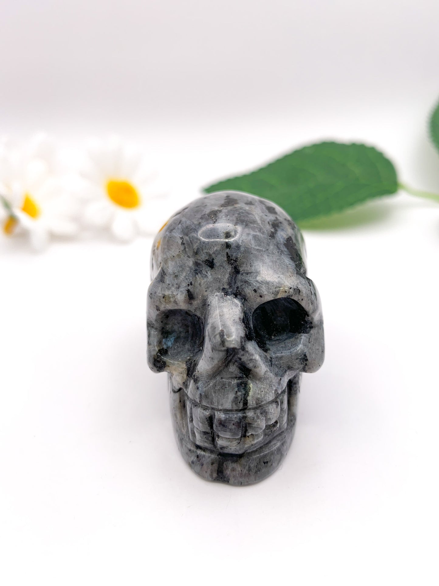 Larvikite Skull - Crystal Love Treasures