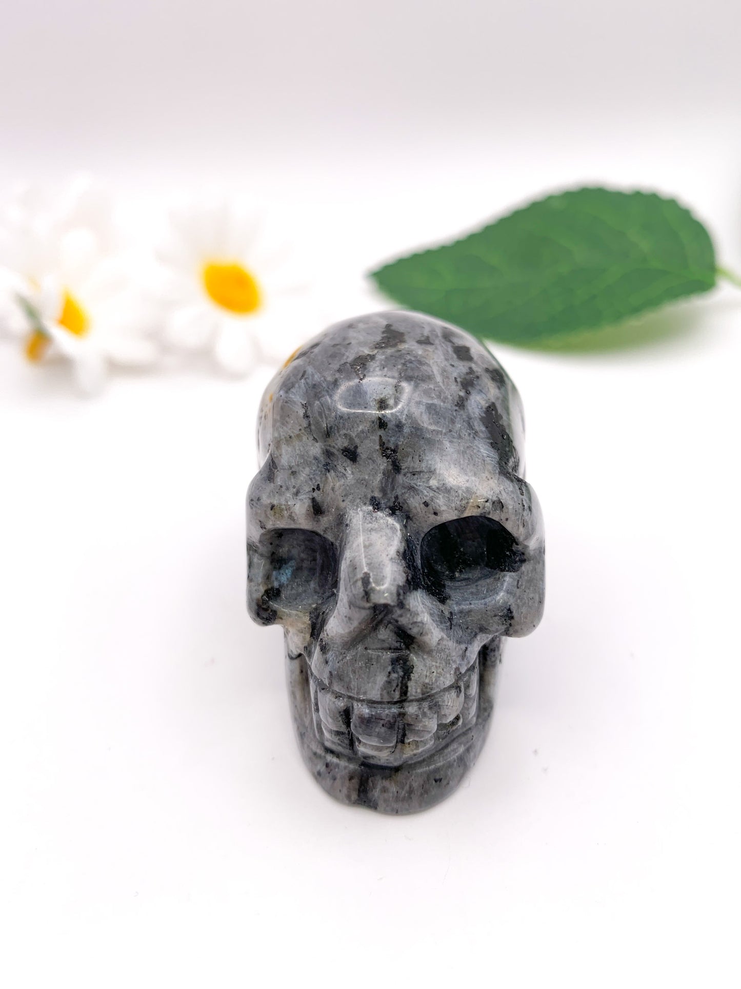 Larvikite Skull - Crystal Love Treasures