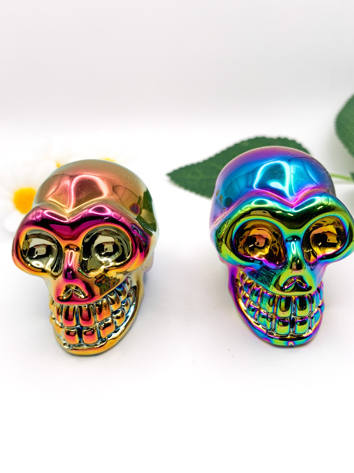 Titanium Aura Skull - Crystal Love Treasures