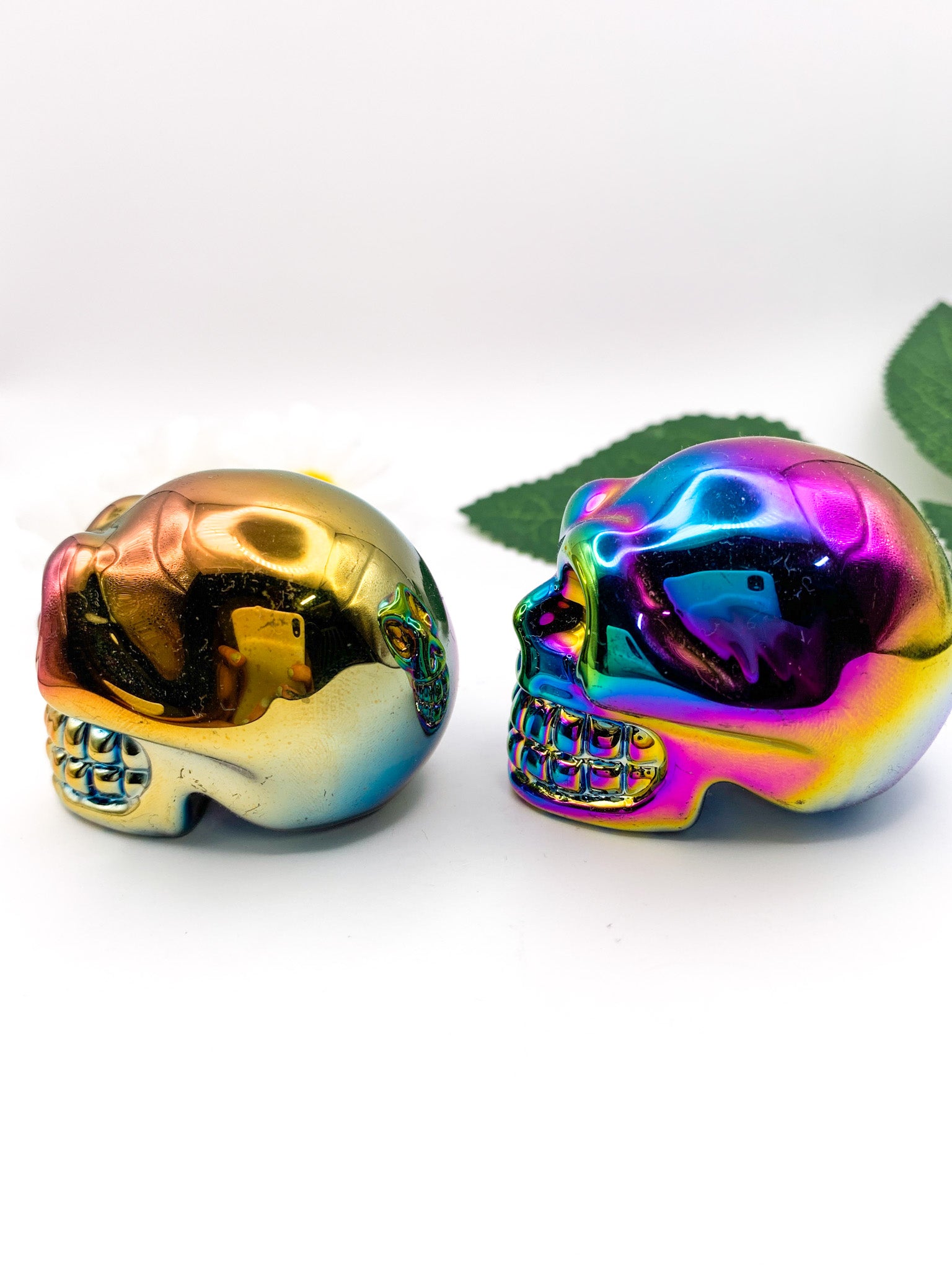 Titanium Aura Skull - Crystal Love Treasures