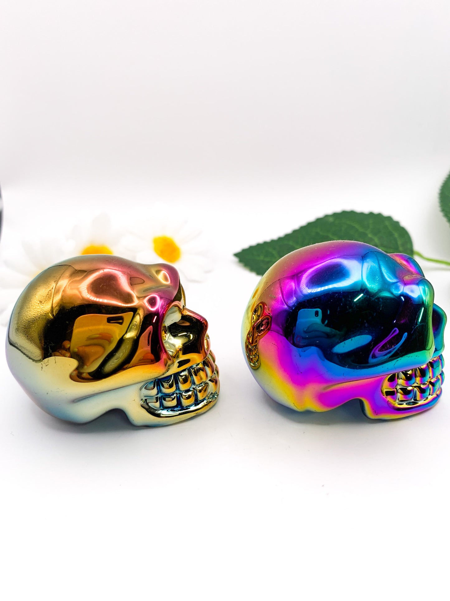 Titanium Aura Skull - Crystal Love Treasures