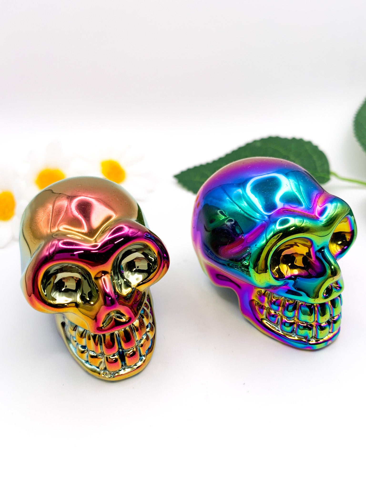 Titanium Aura Skull - Crystal Love Treasures