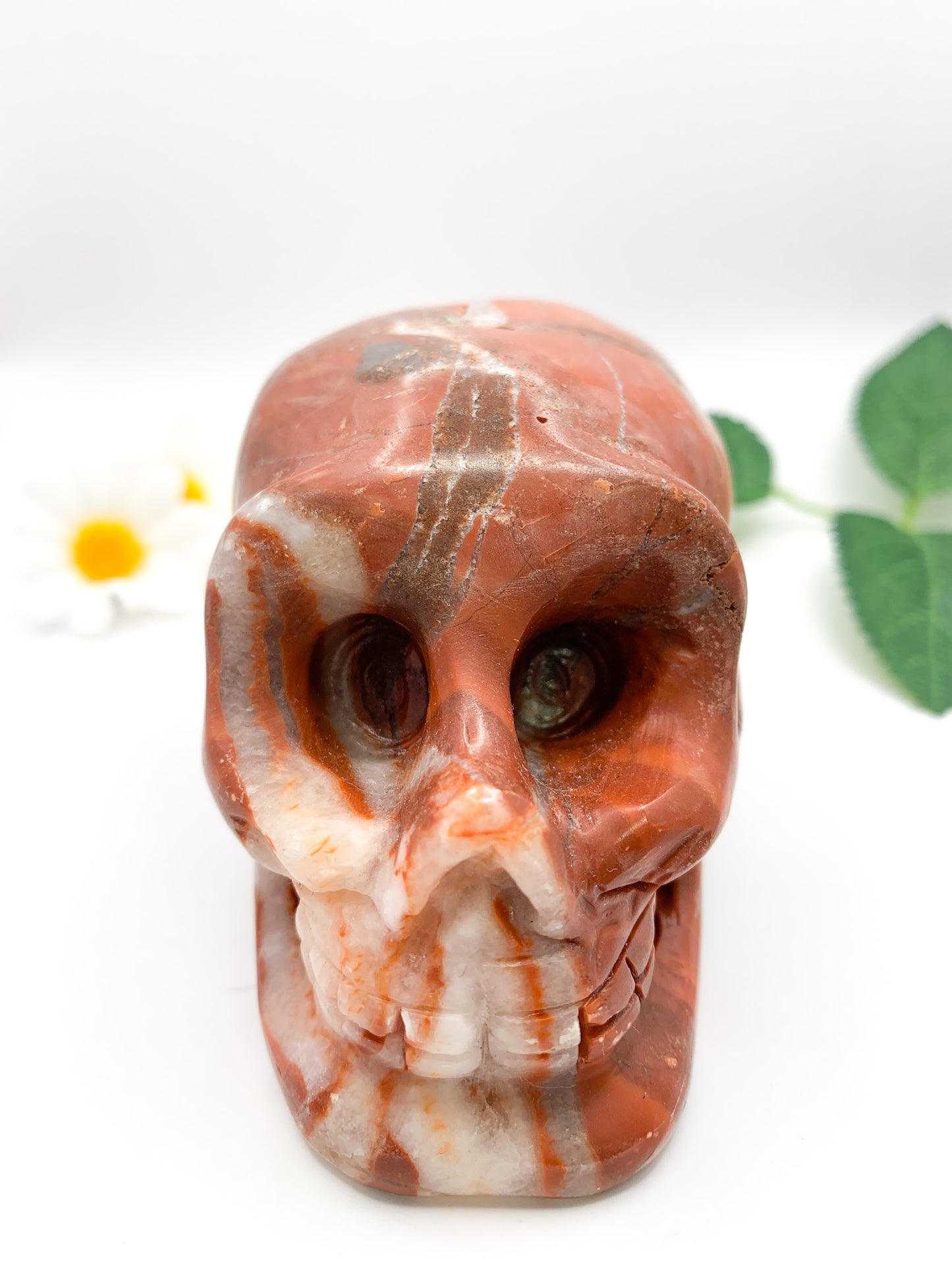 Red Jasper Skull - Crystal Love Treasures