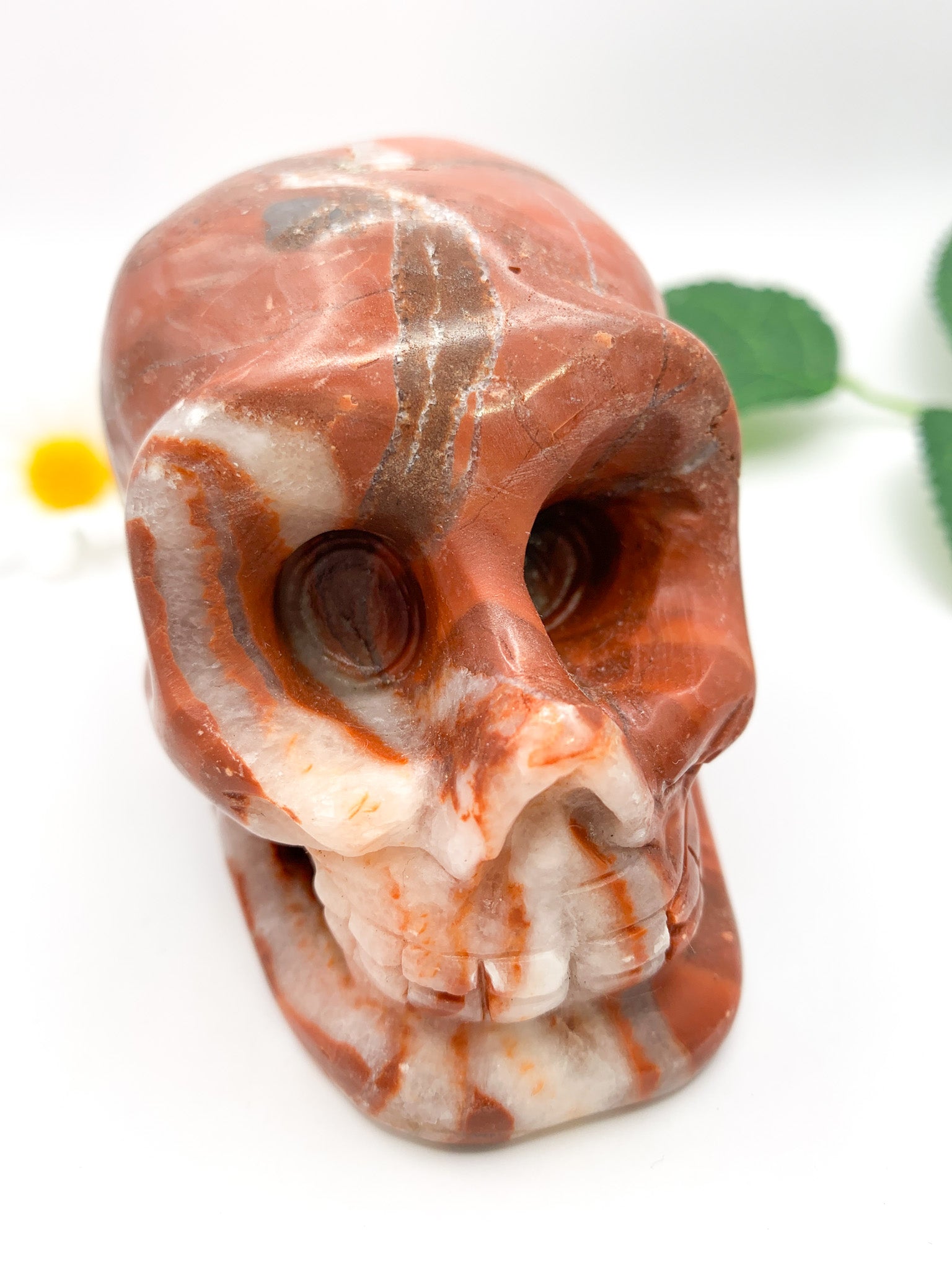 Red Jasper Skull - Crystal Love Treasures