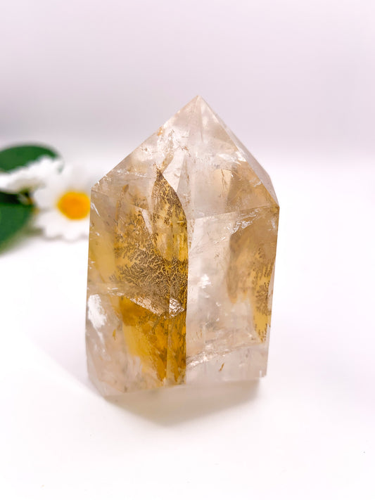 Dendritic Golden Healer Quartz Tower (Collector's Piece) - Crystal Love Treasures