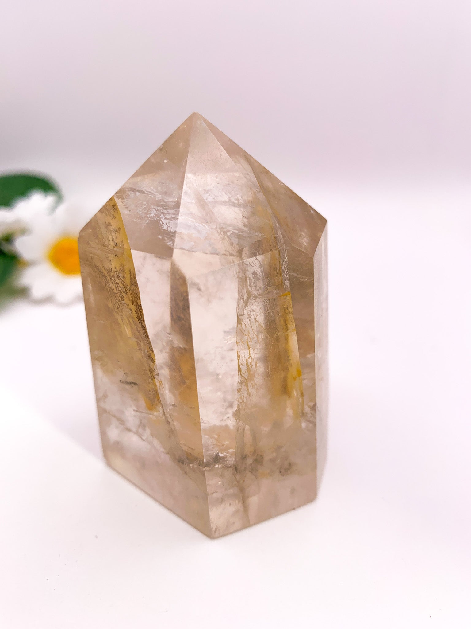 Dendritic Golden Healer Quartz Tower (Collector's Piece) - Crystal Love Treasures