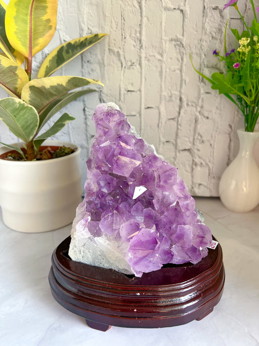 Raw Amethyst on Wooden Base - Crystal Love Treasures