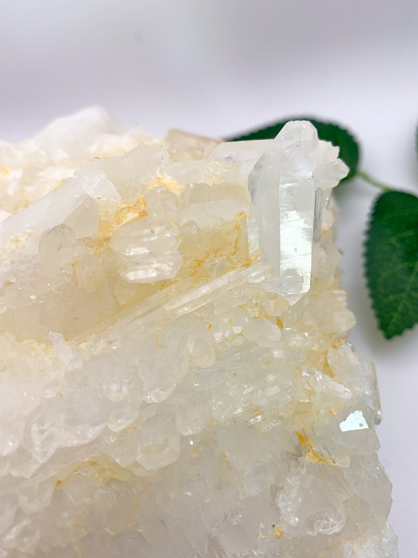 Icy Himalayan Quartz Cluster - Crystal Love Treasures